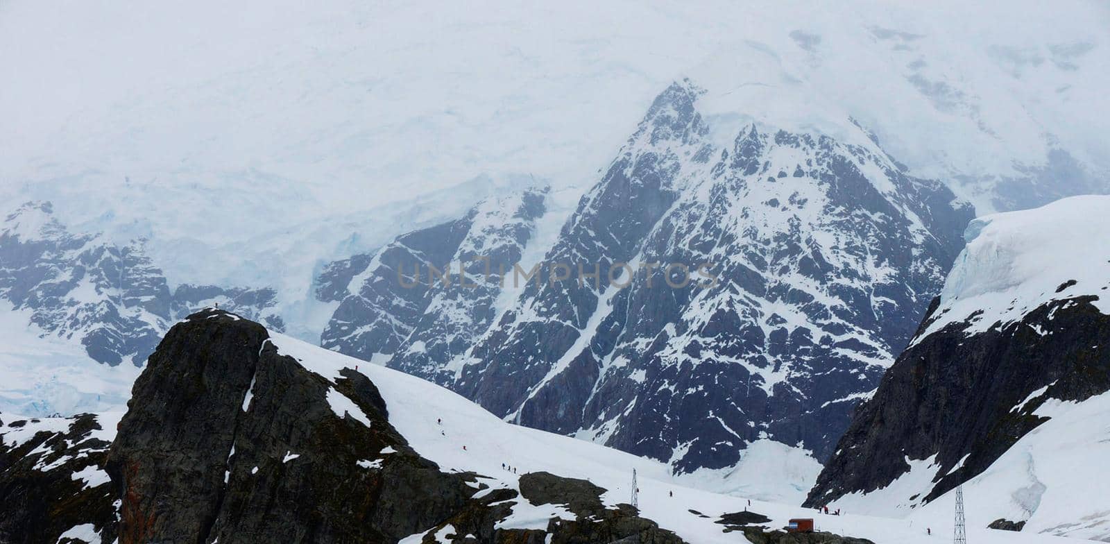 Beautiful Brown Bluff ,Antarctica pictures