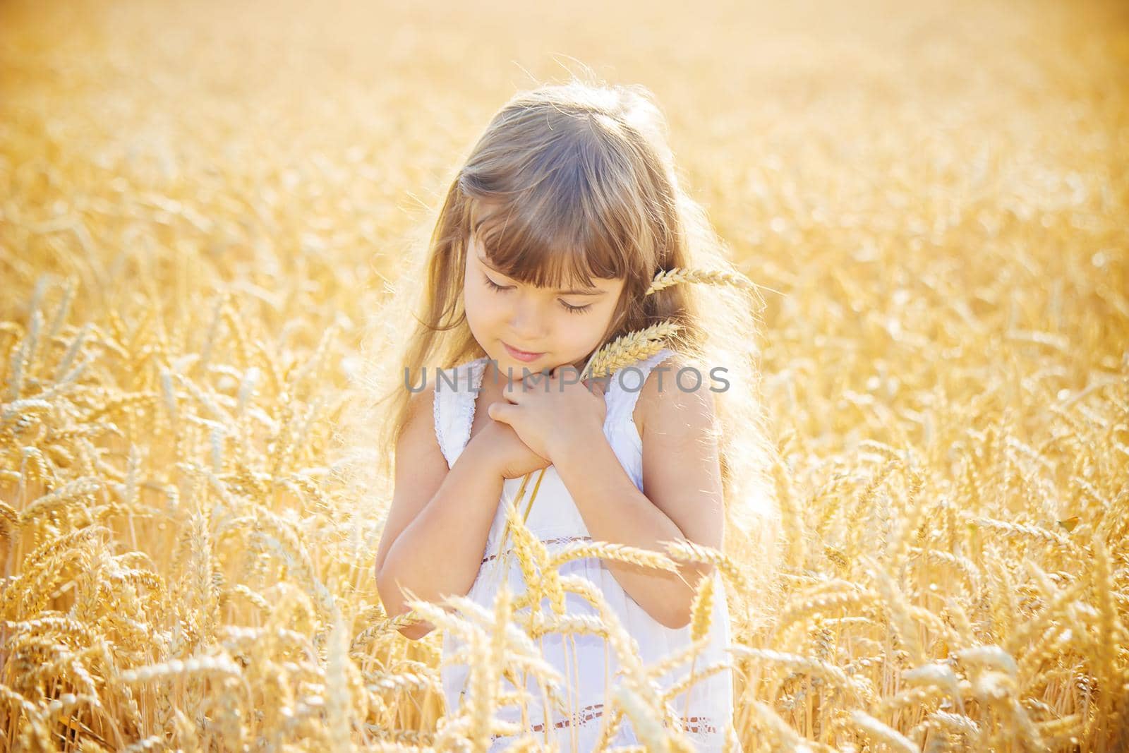 child in a wheat field. selective focus. by yanadjana