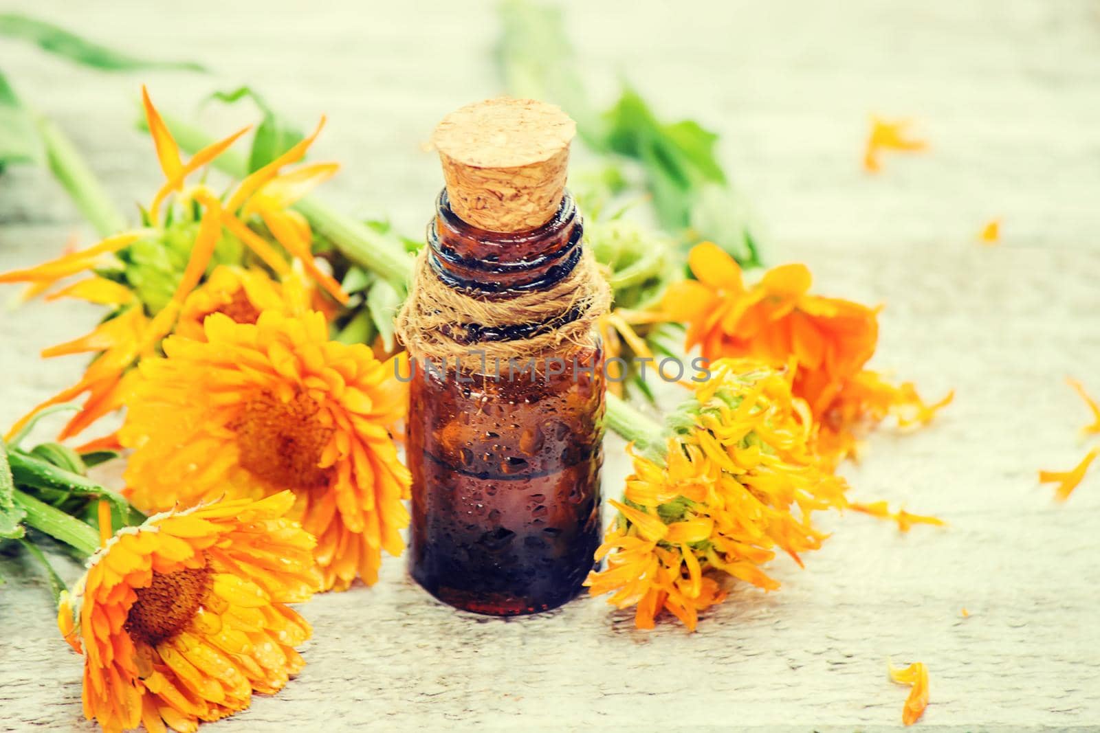 The calendula extract. Medicinal plants. Selective focus. nature.