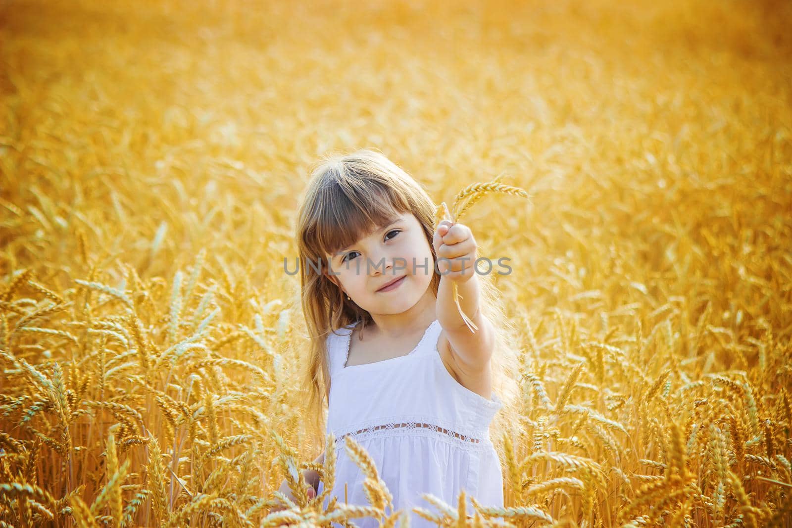 child in a wheat field. selective focus. by yanadjana