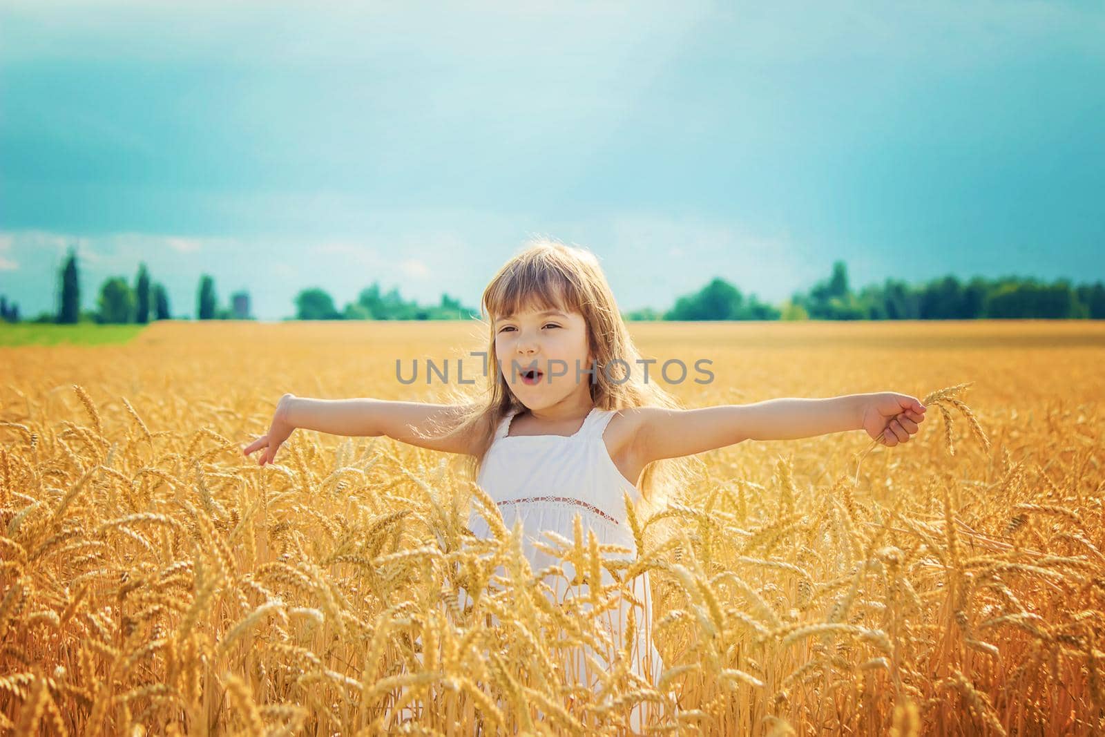 child in a wheat field. selective focus. nature