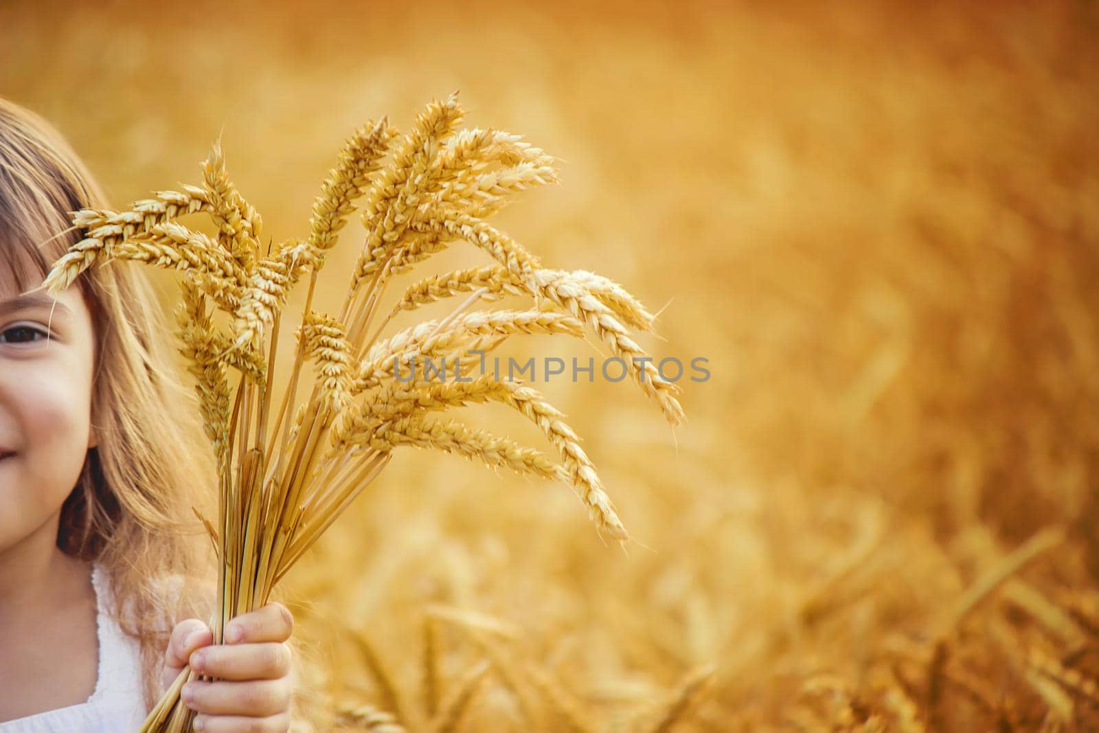 child in a wheat field. selective focus. by yanadjana