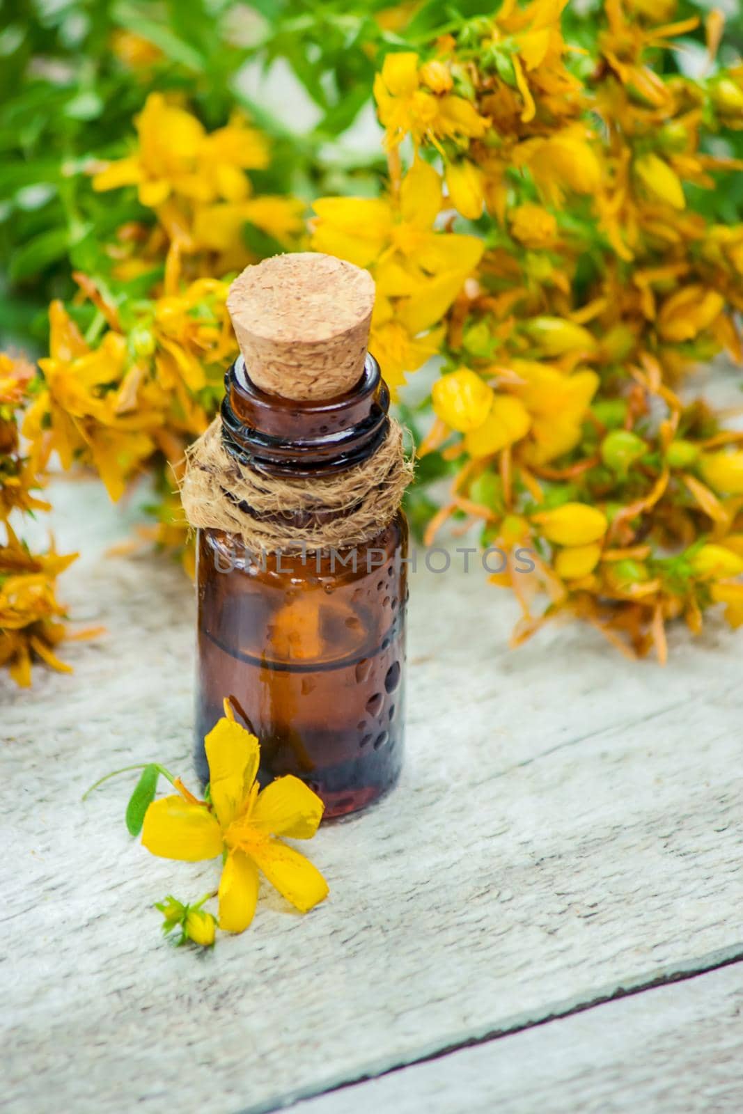 St. John's wort tincture in a small bottle.