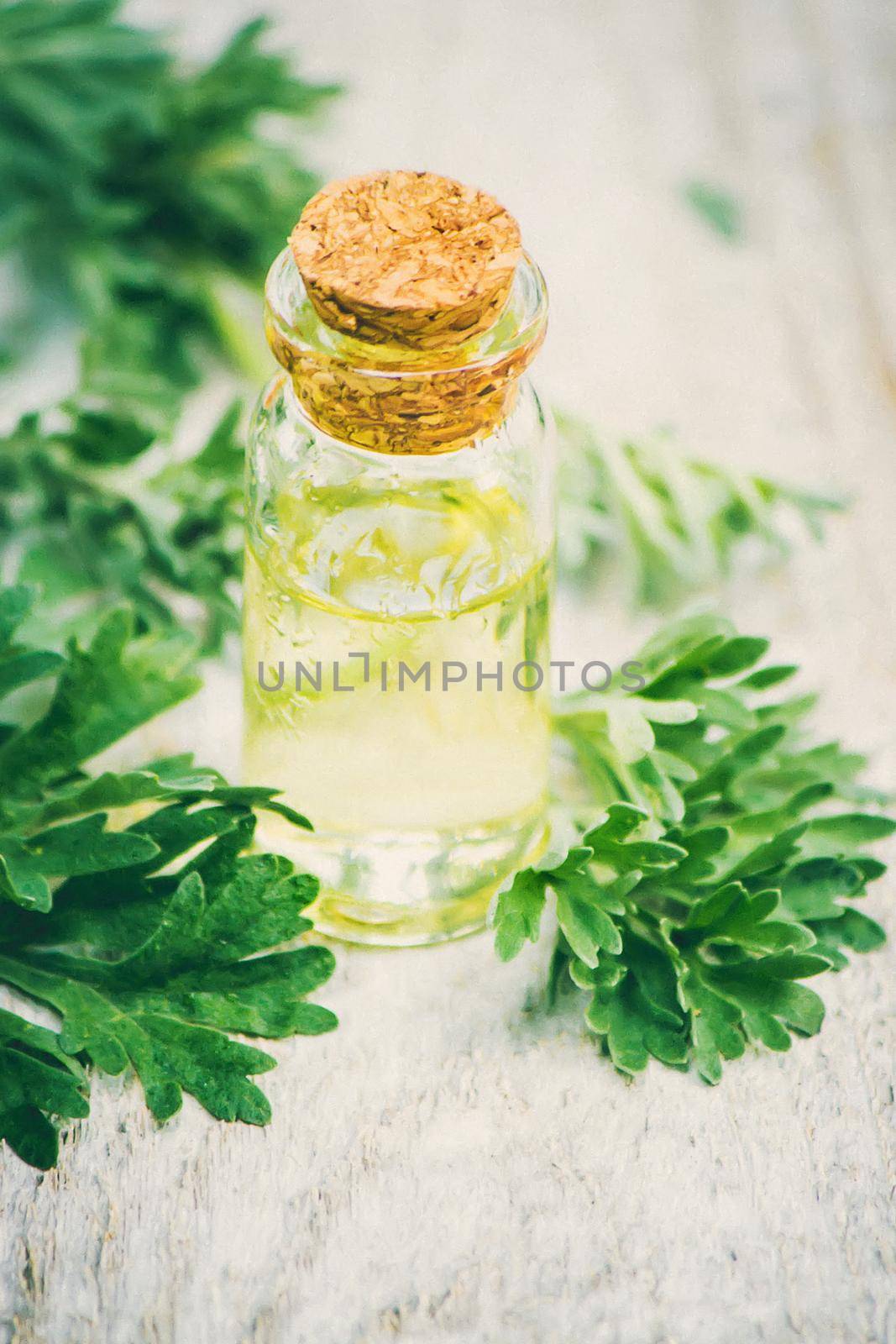 wormwood extract in a small jar. Selective focus. nature.