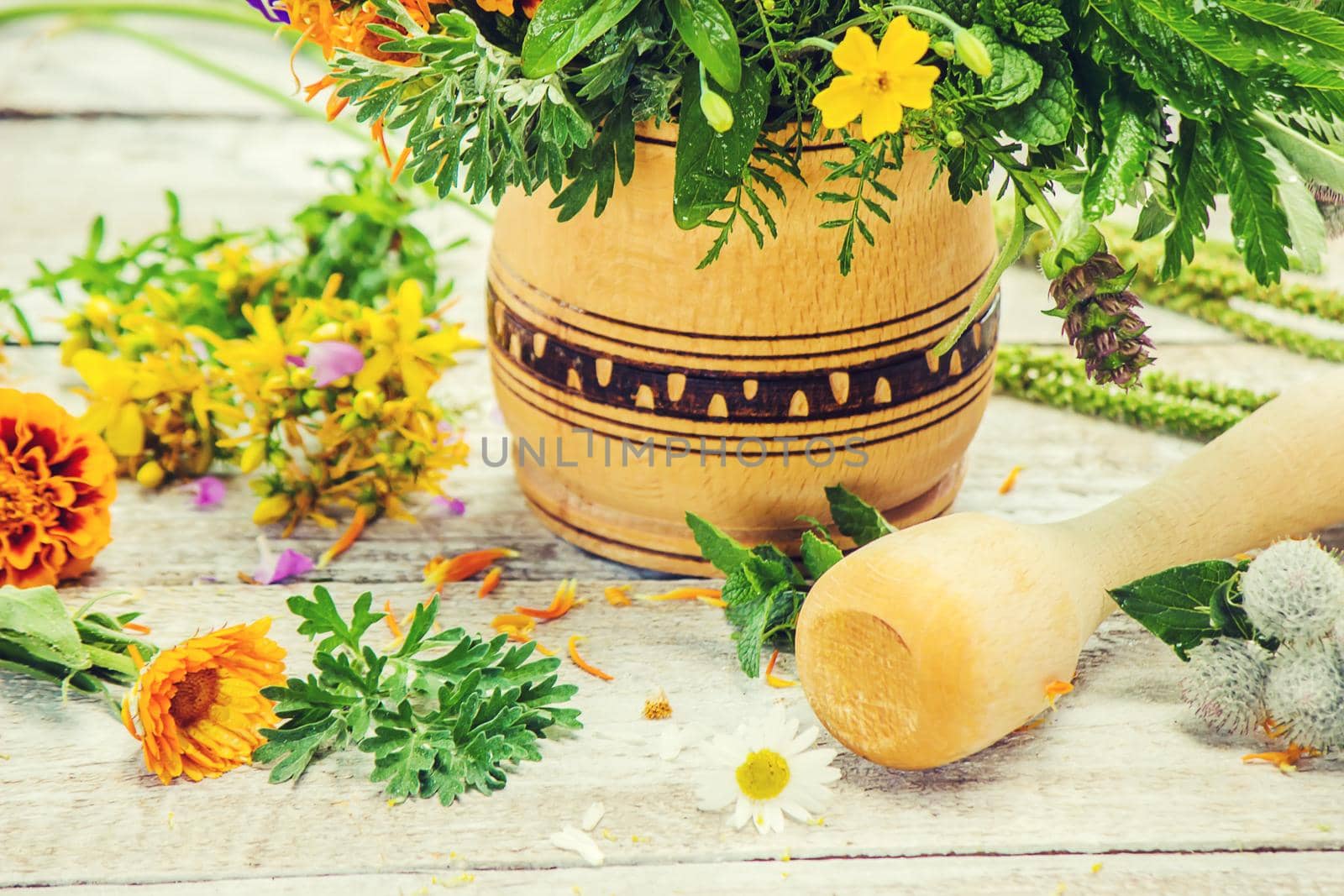 Herbs in a mortar. Medicinal plants. Selective focus. by yanadjana