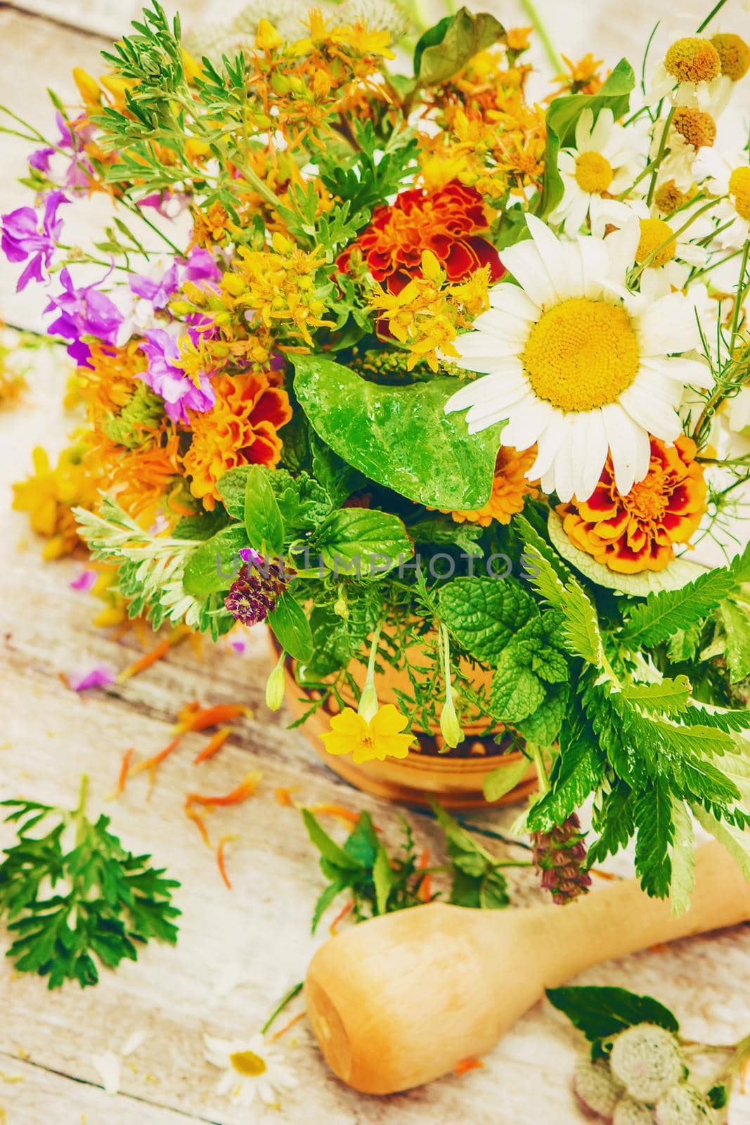 Herbs in a mortar. Medicinal plants. Selective focus. by yanadjana