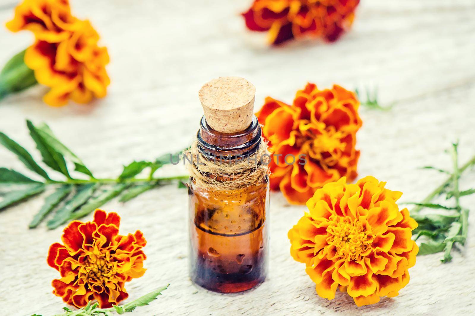Essential oil of chernobrivtsev, marigold in a small bottle. Selective focus.