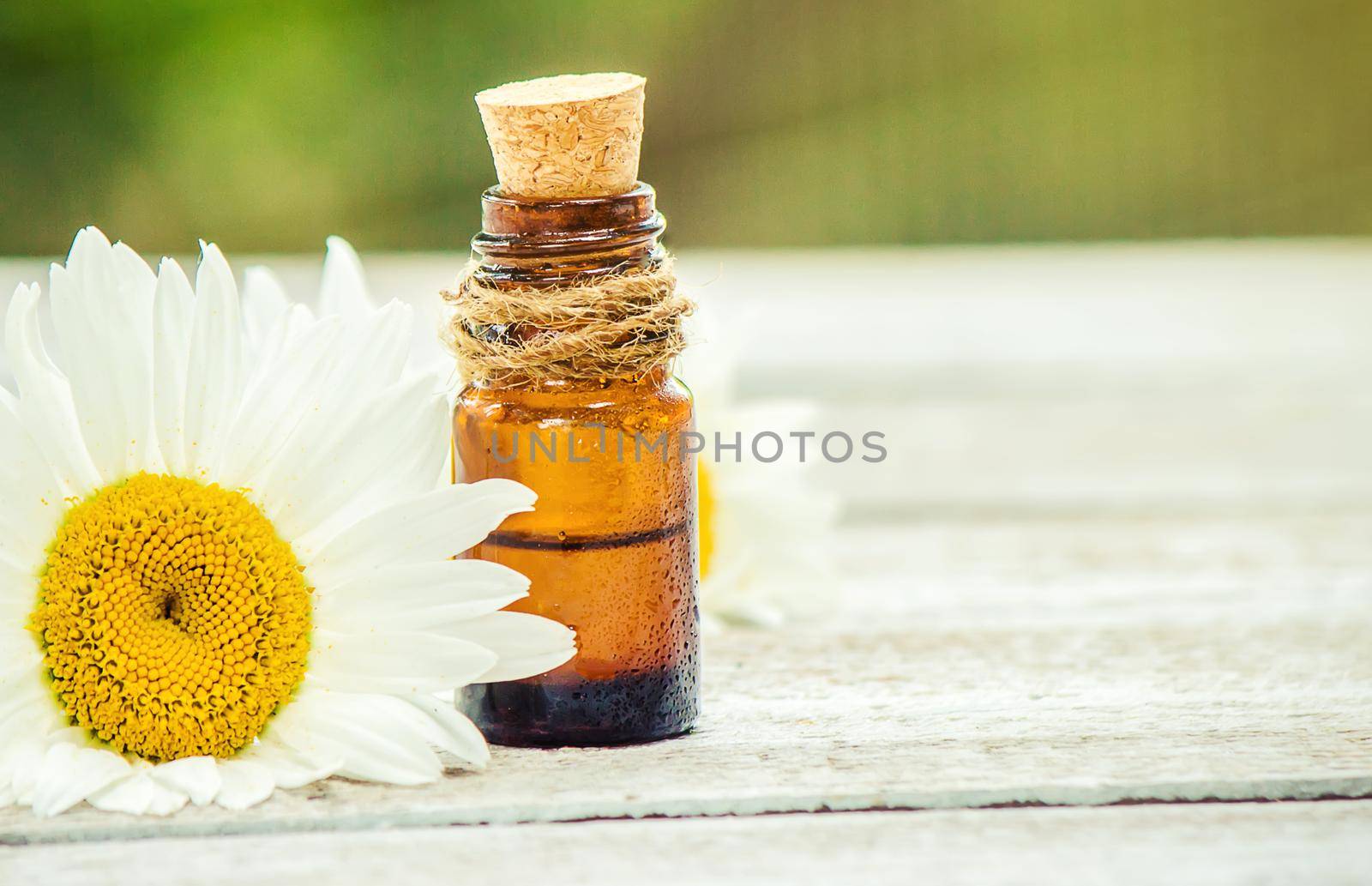 Chamomile essential oil in a small bottle. Selective focus. nature.