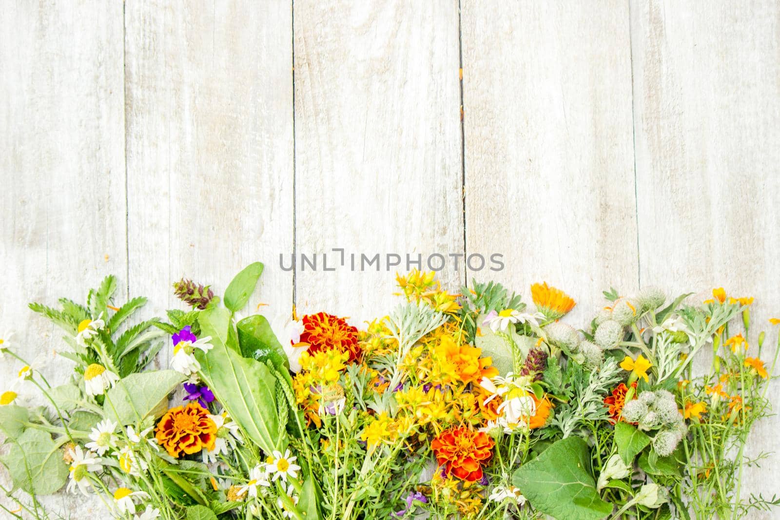 Herbs in a mortar. Medicinal plants. Selective focus. by yanadjana