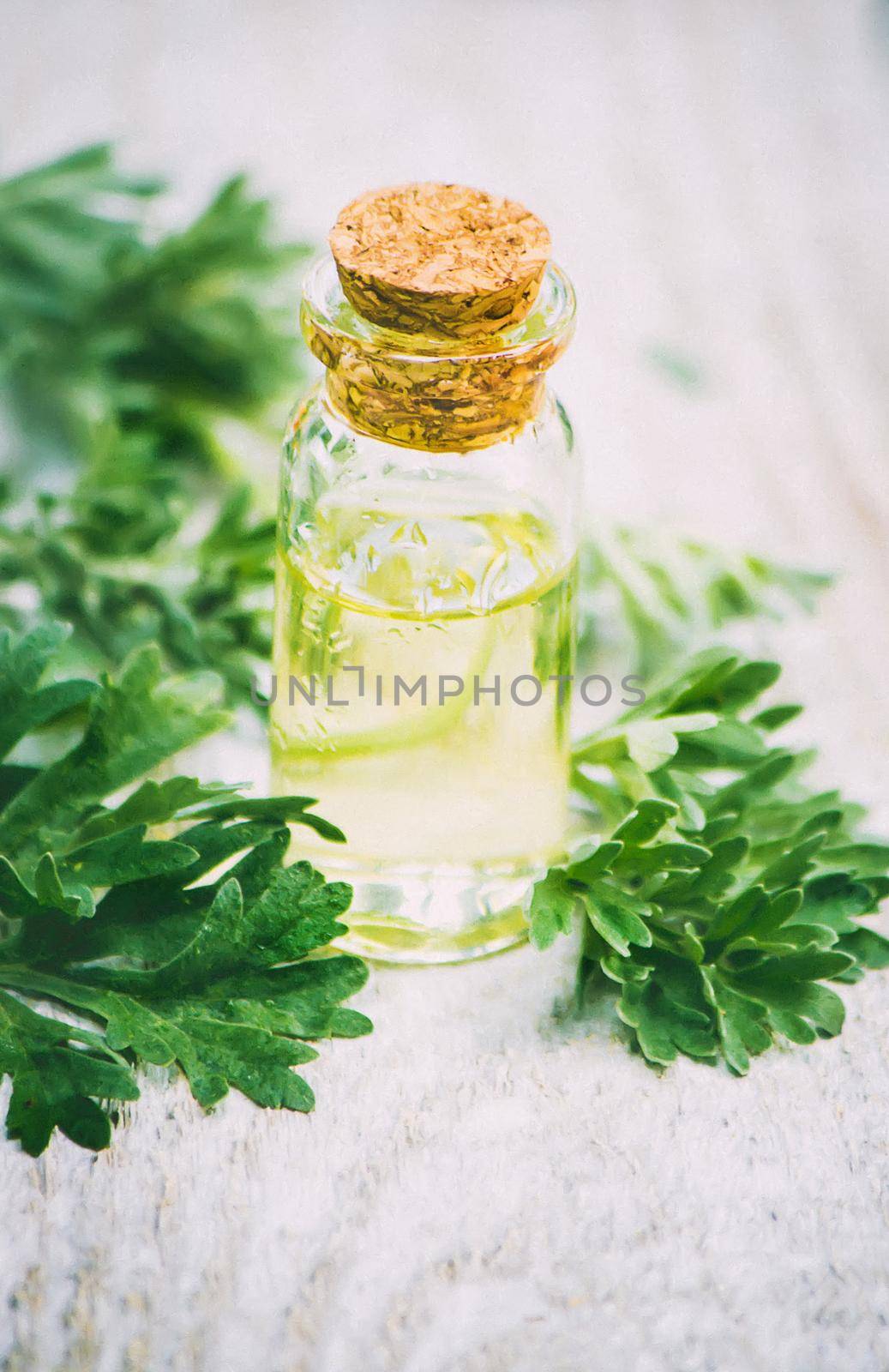wormwood extract in a small jar. Selective focus. nature.
