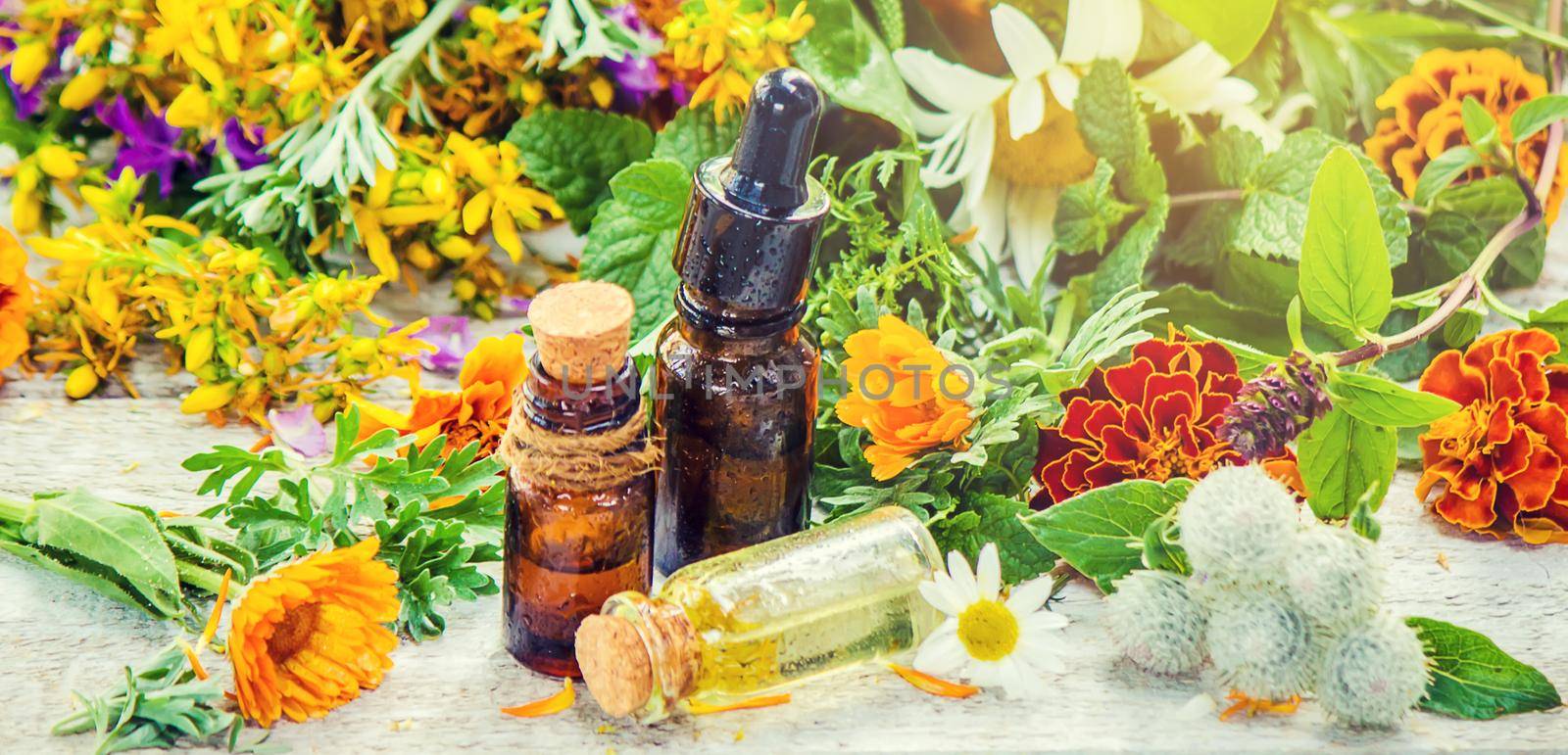 Herbs in a mortar. Medicinal plants. Selective focus. by yanadjana