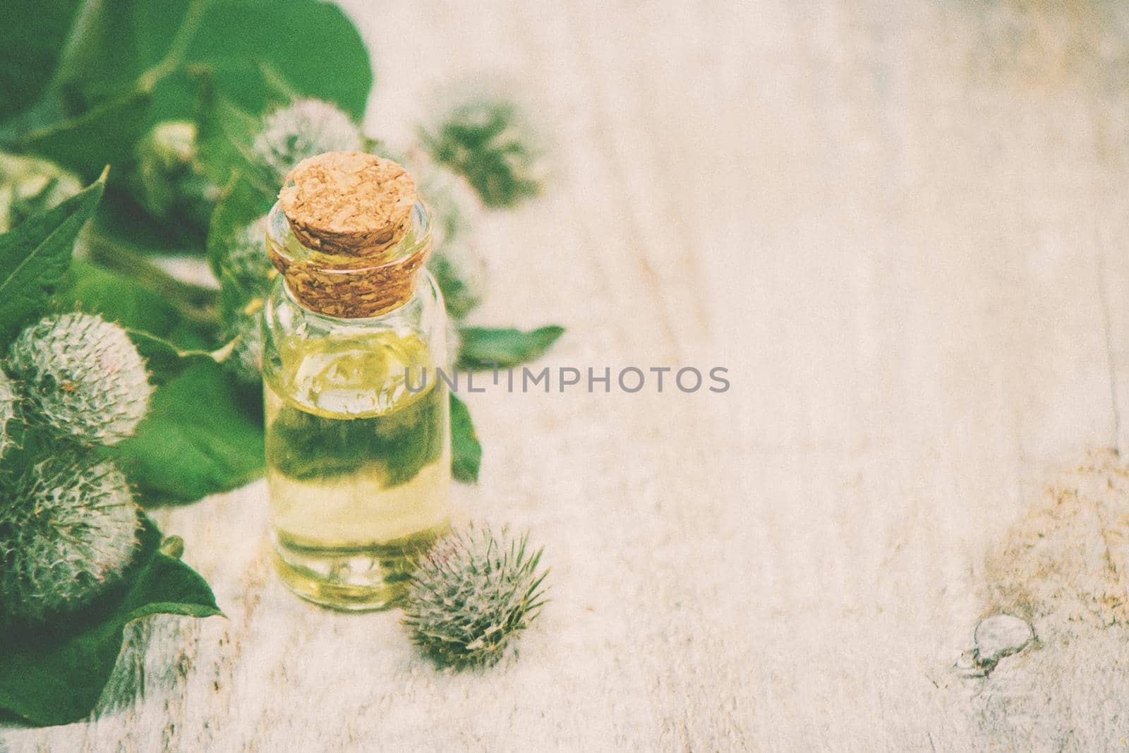 Tincture of burdock in a small jar. Selective focus. nature.