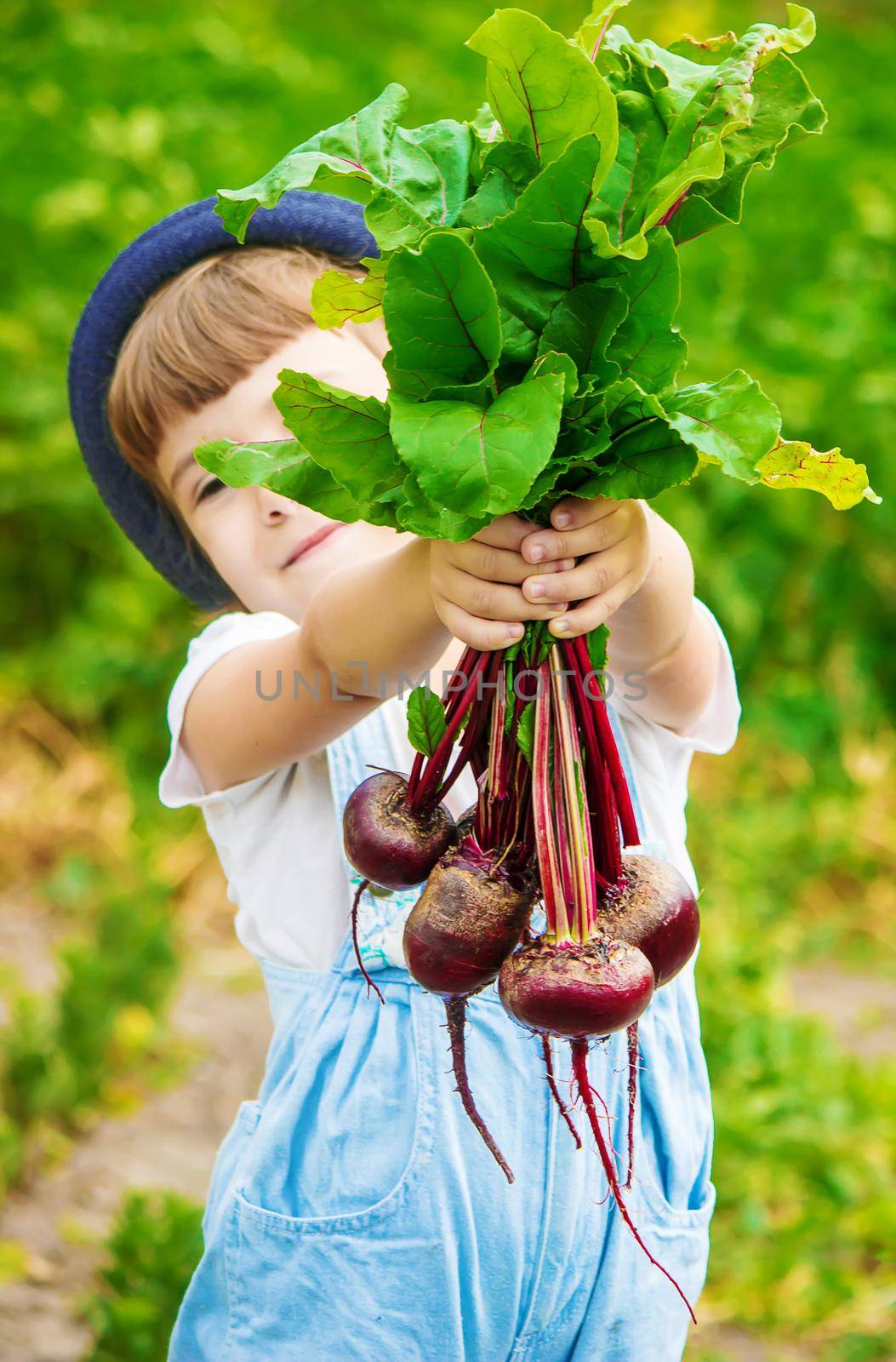 Child and vegetables on the farm. Selective focus. by yanadjana