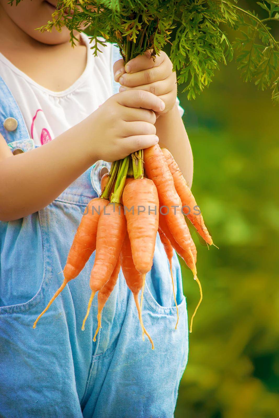 Child and vegetables on the farm. Selective focus. by yanadjana