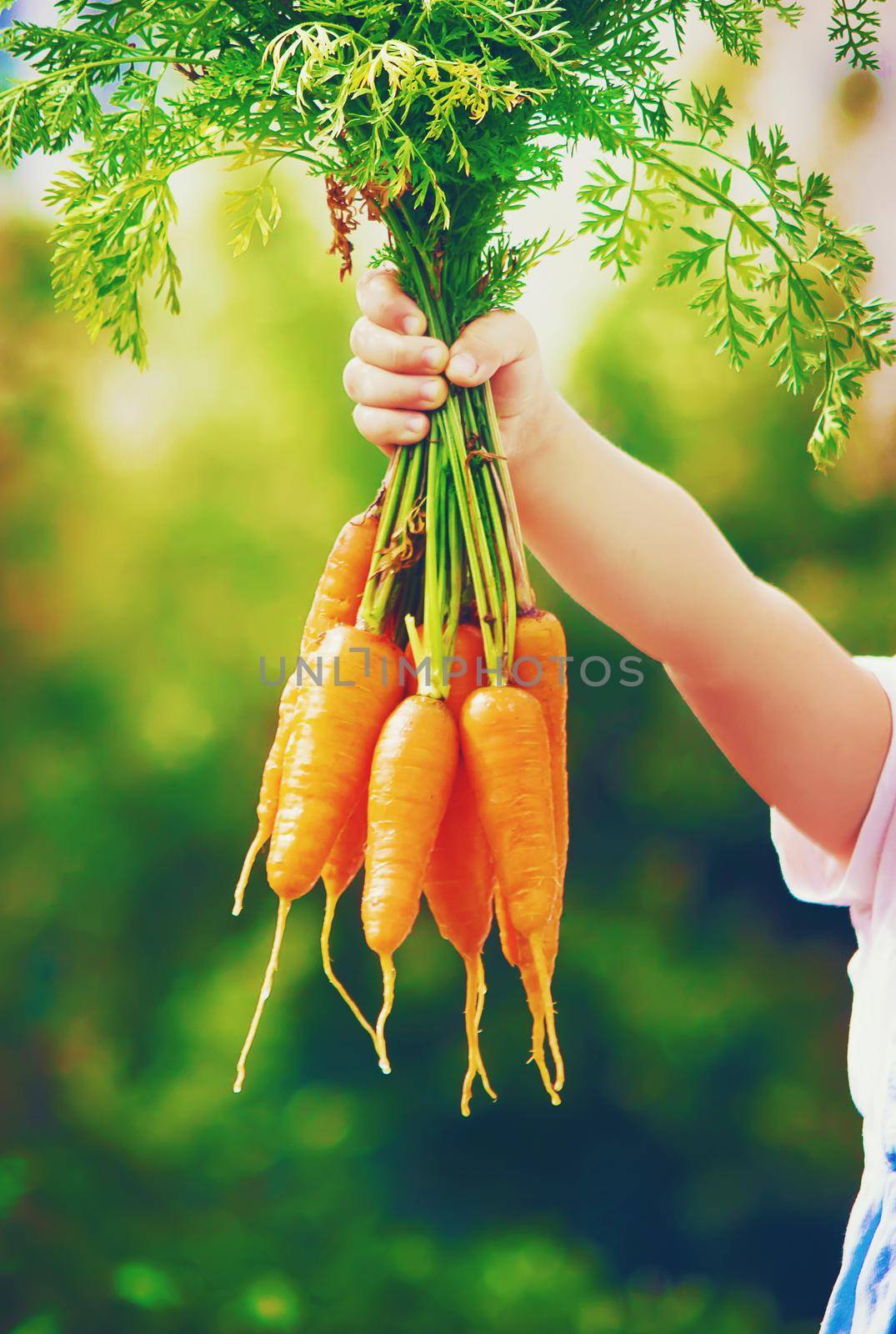 Child and vegetables on the farm. Selective focus. nature.