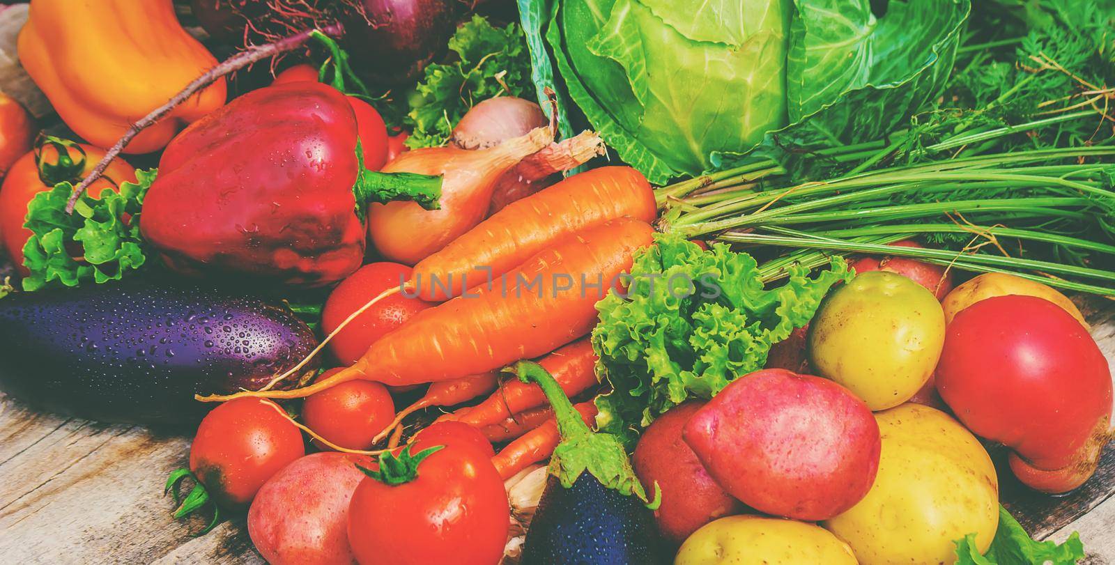 Different bio vegetables. Selective focus. food nature. by yanadjana