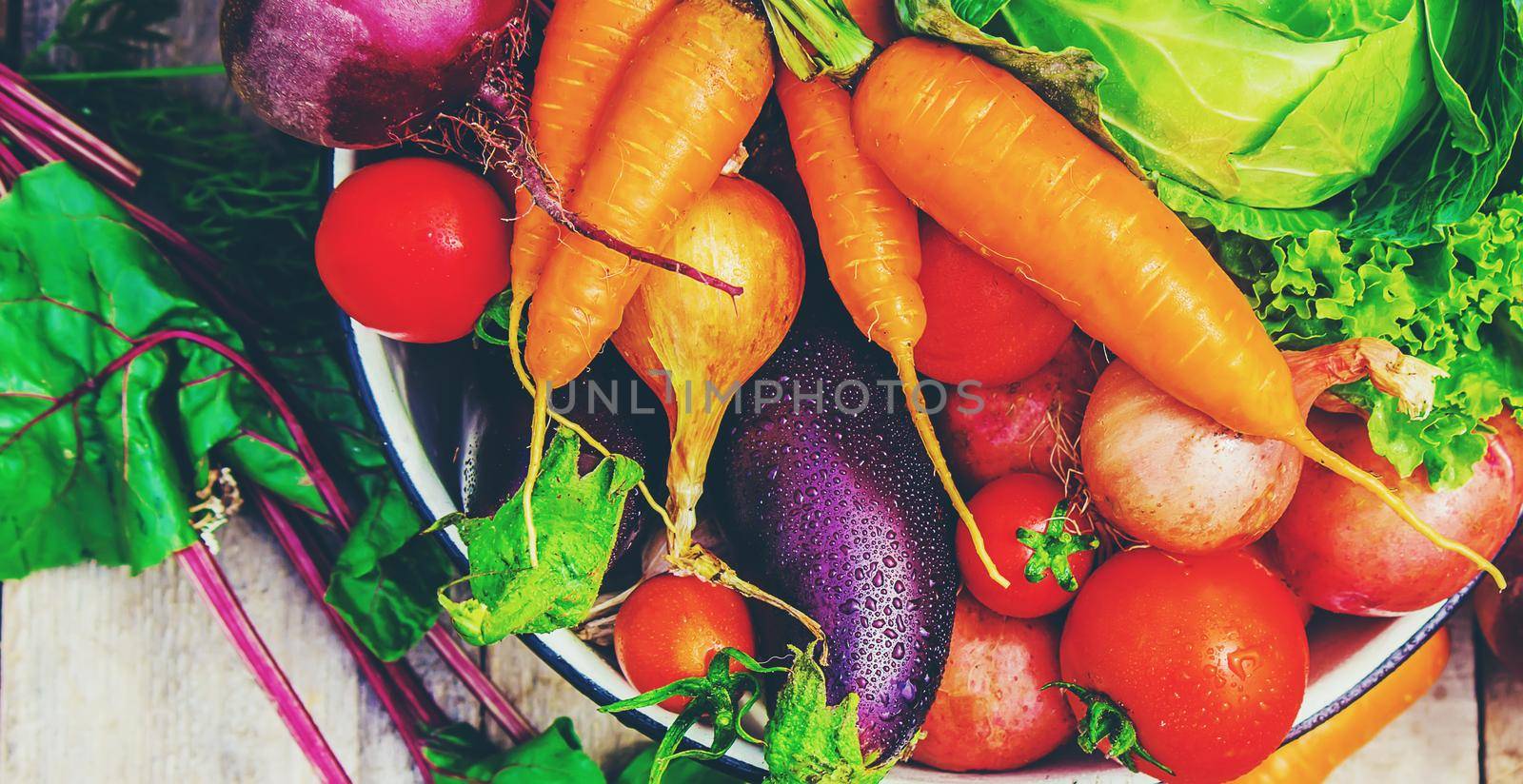 Different bio vegetables. Selective focus. food nature. by yanadjana