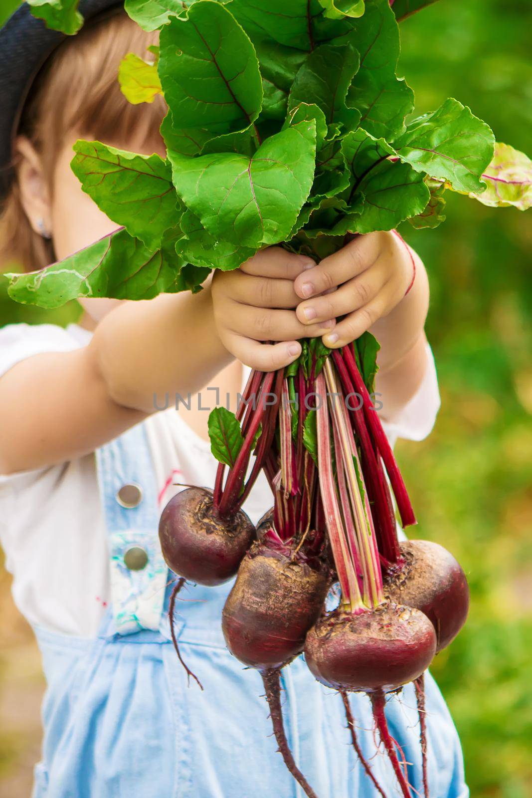 Child and vegetables on the farm. Selective focus. nature.