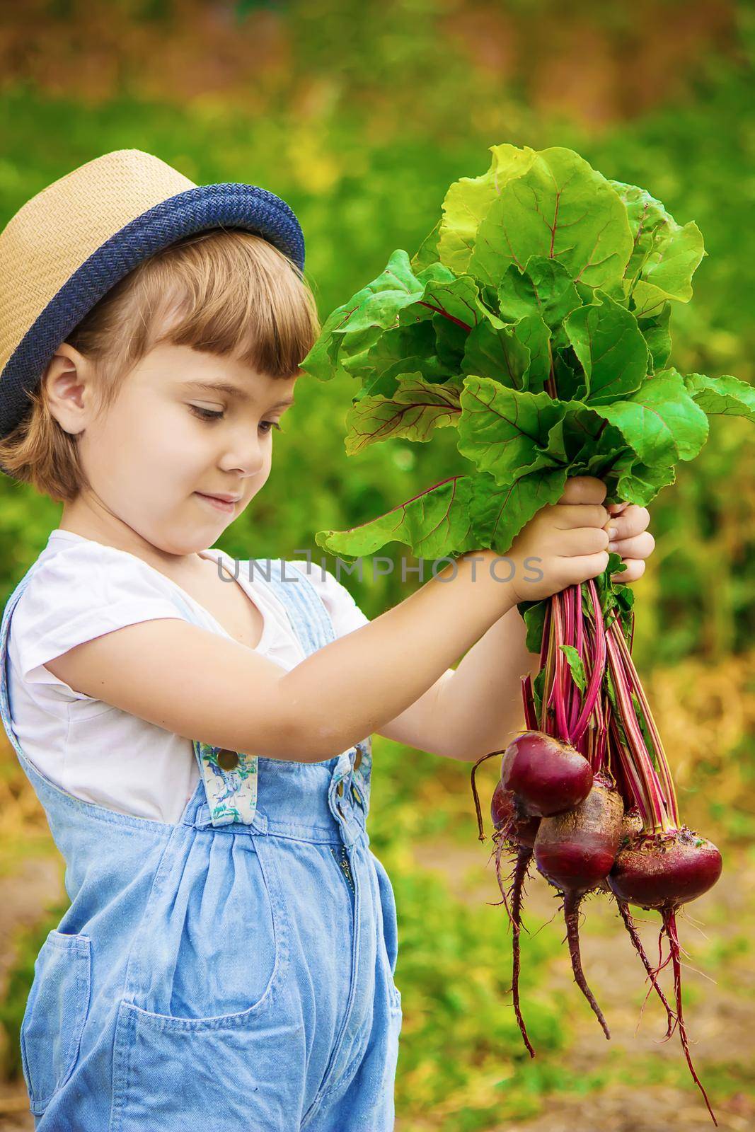 Child and vegetables on the farm. Selective focus. by yanadjana