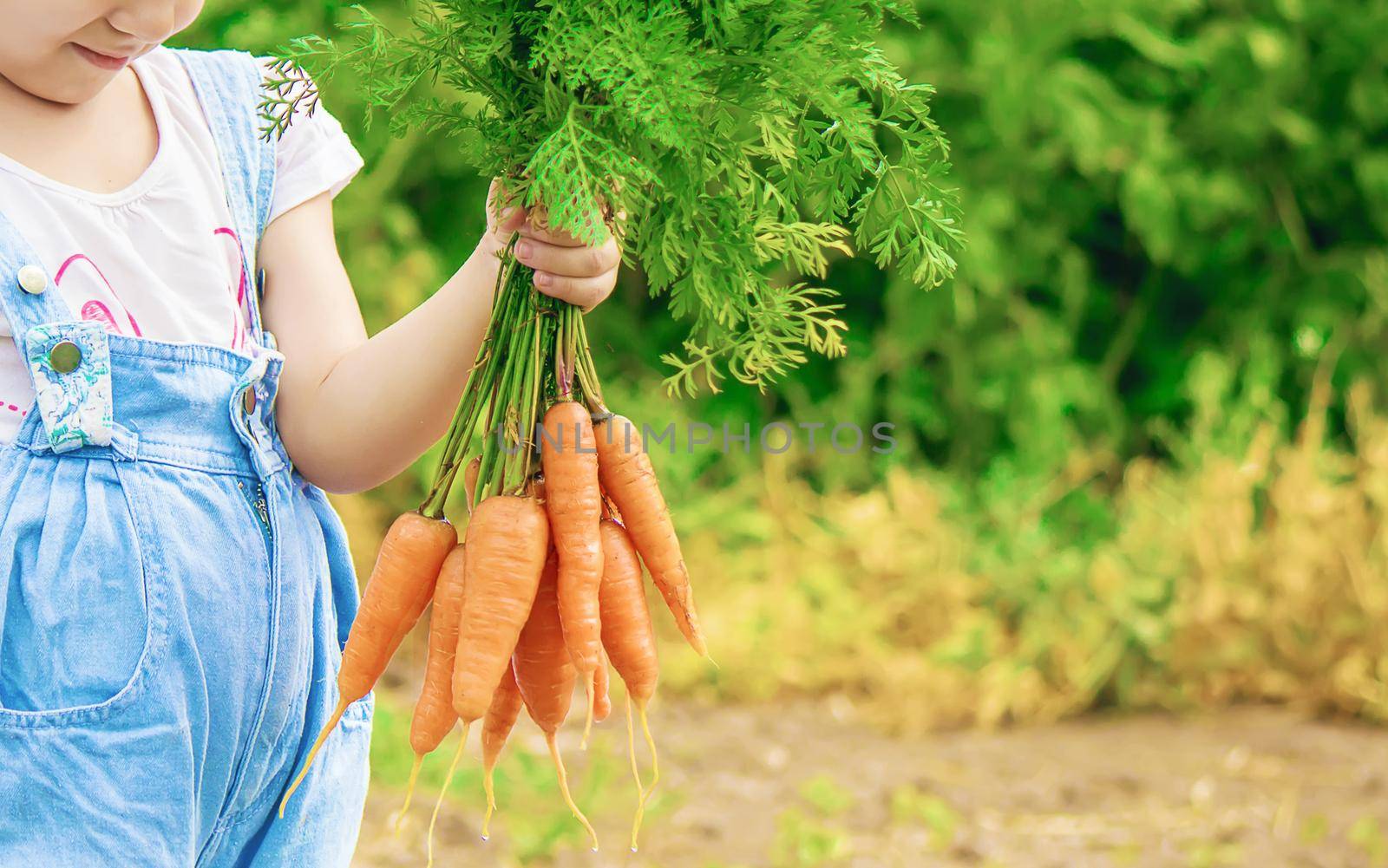 Child and vegetables on the farm. Selective focus. nature.