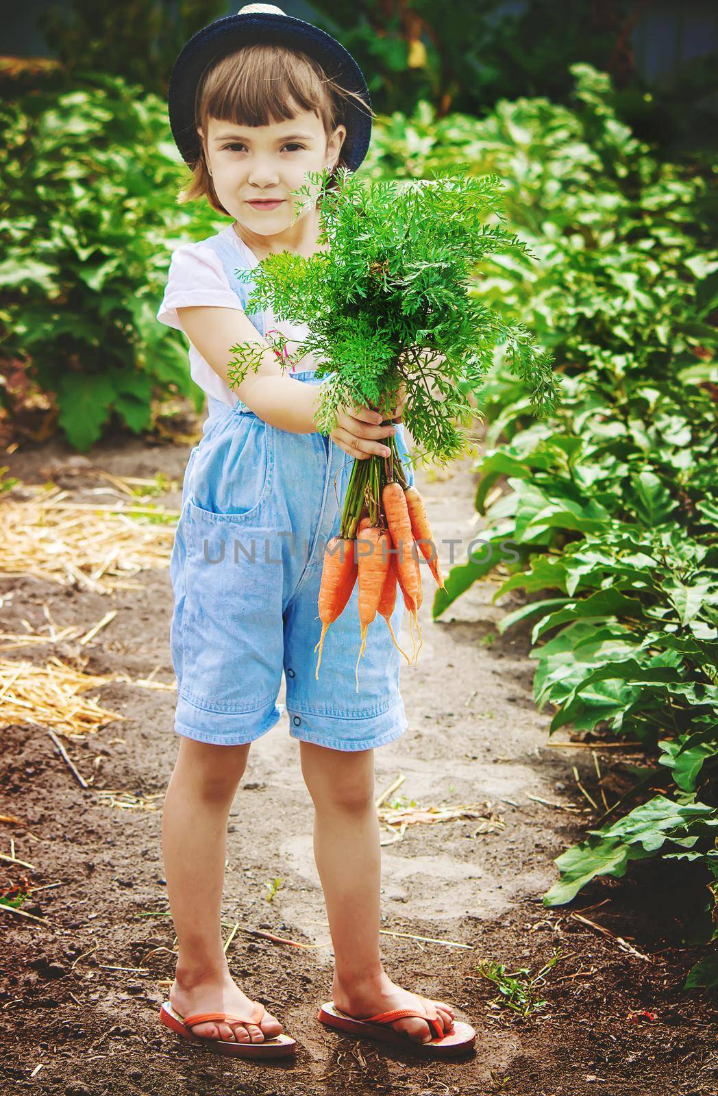 Child and vegetables on the farm. Selective focus. by yanadjana