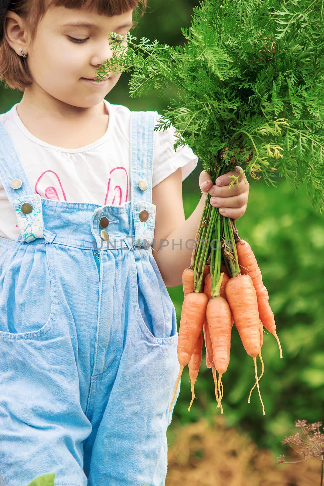 Child and vegetables on the farm. Selective focus. nature.