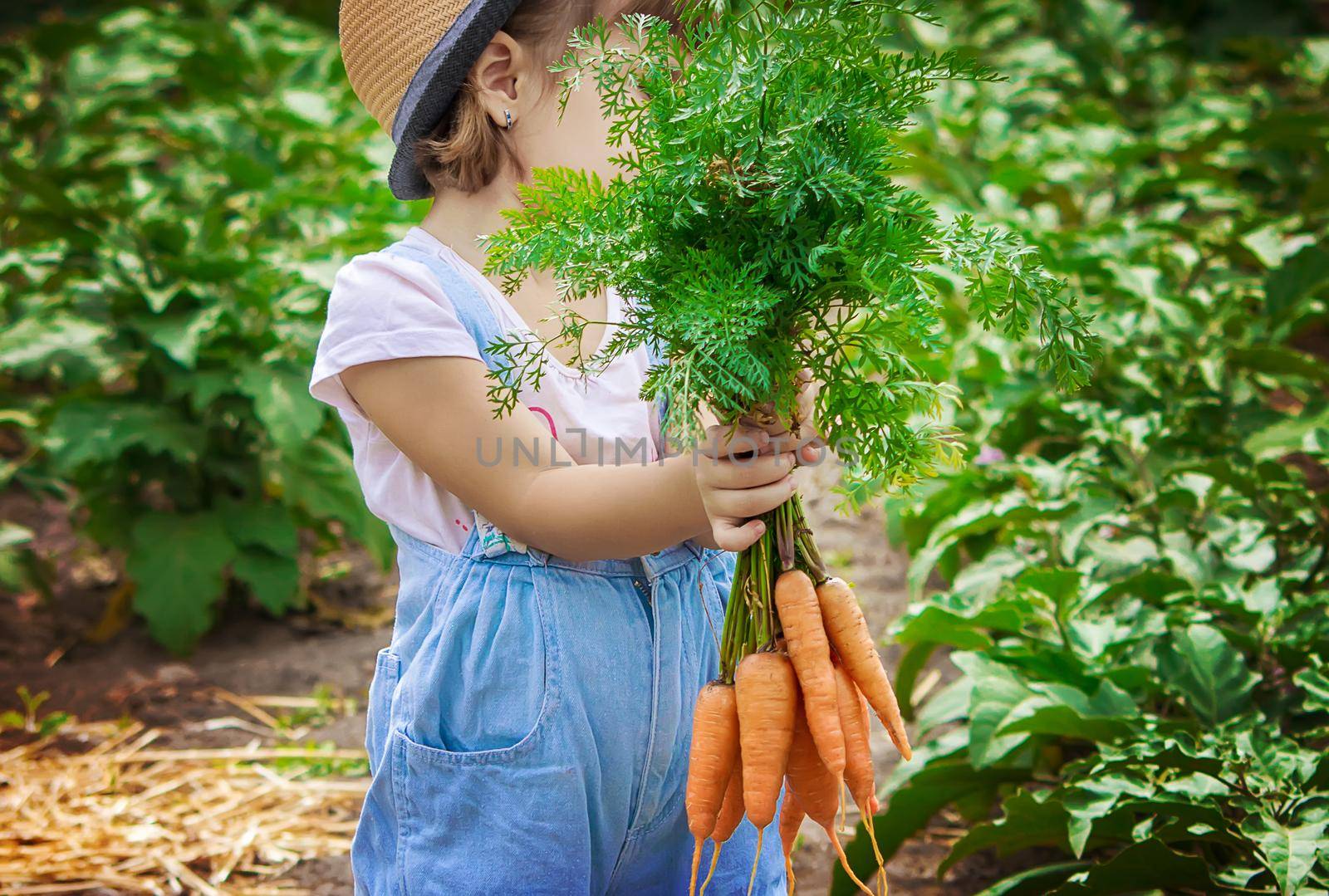 Child and vegetables on the farm. Selective focus. nature.