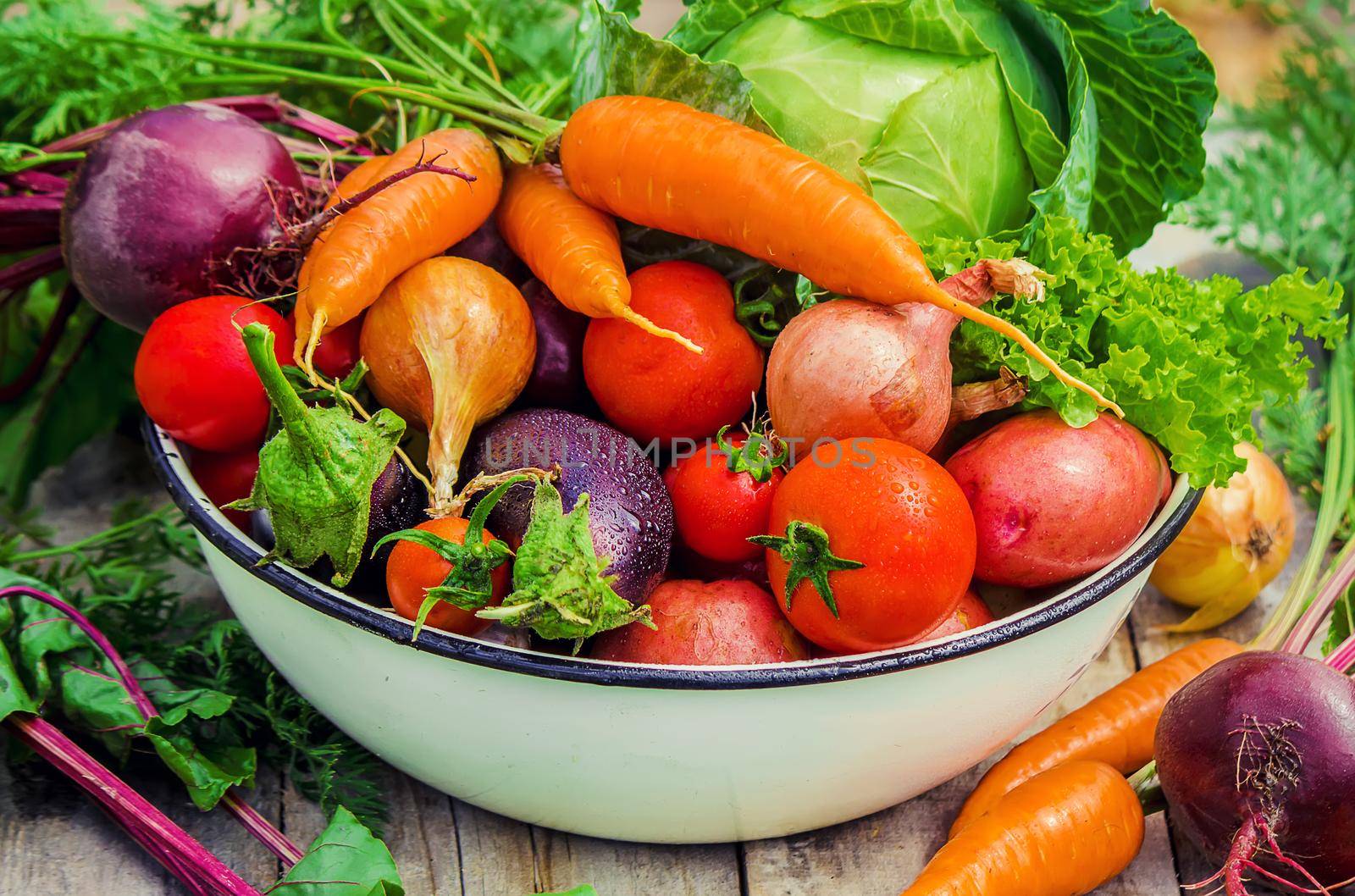 Different bio vegetables. Selective focus. food and drink.