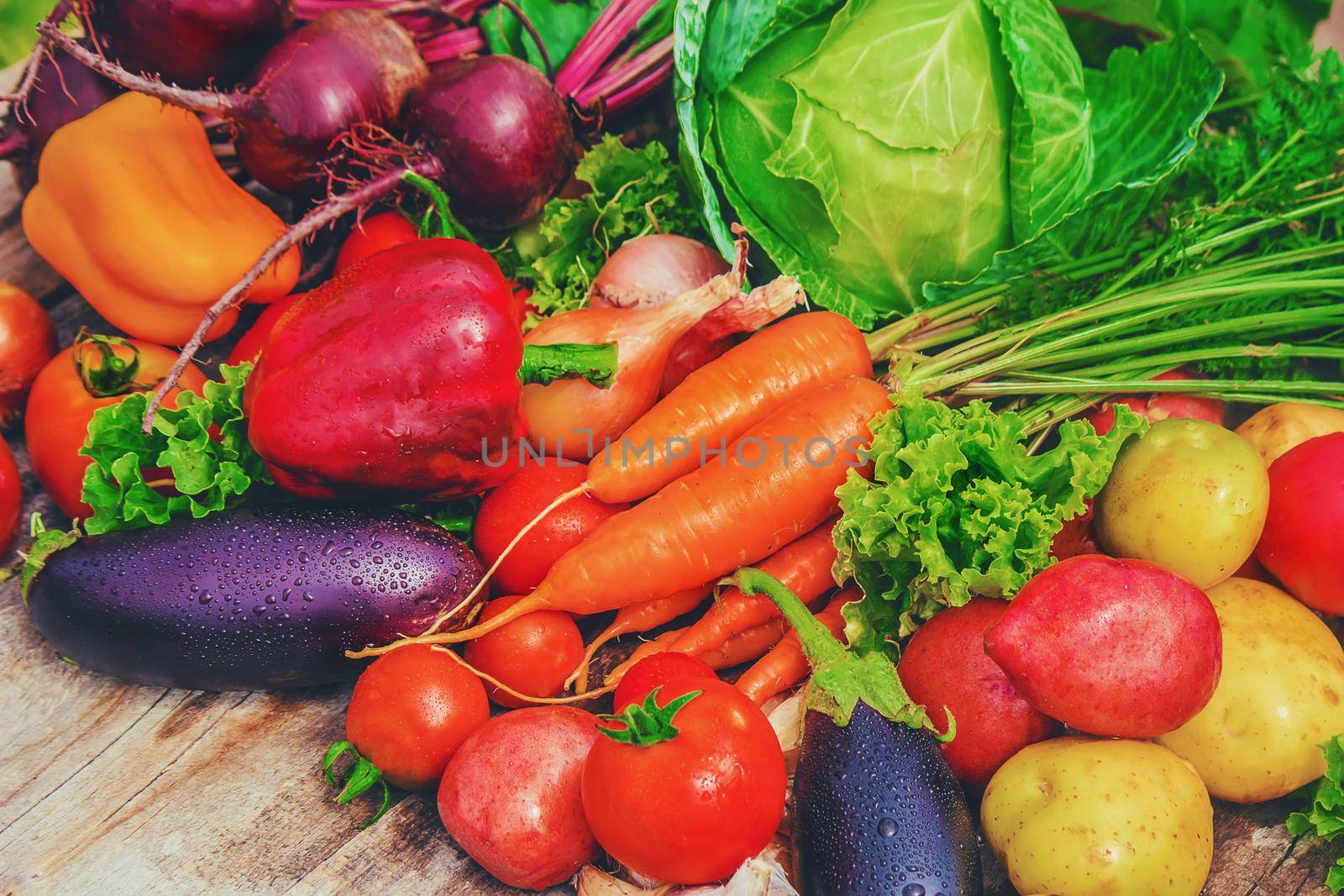 Different bio vegetables. Selective focus. food and drink.