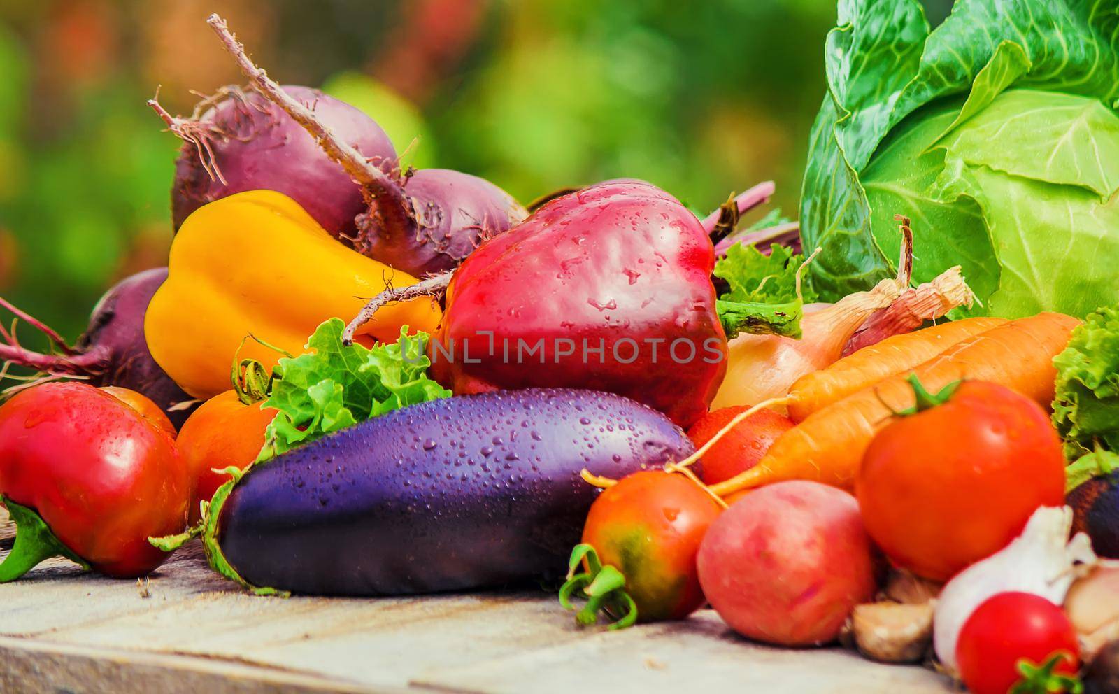 Different bio vegetables. Selective focus. food and drink.