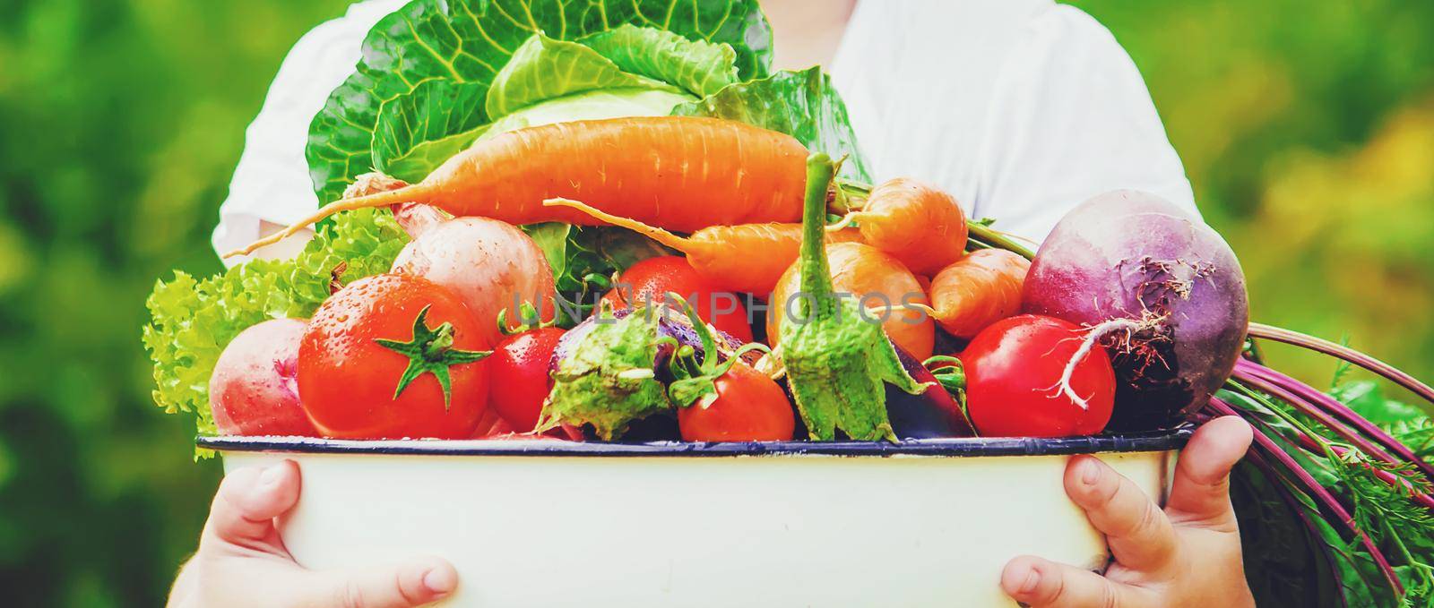 Child and vegetables on the farm. Selective focus. by yanadjana