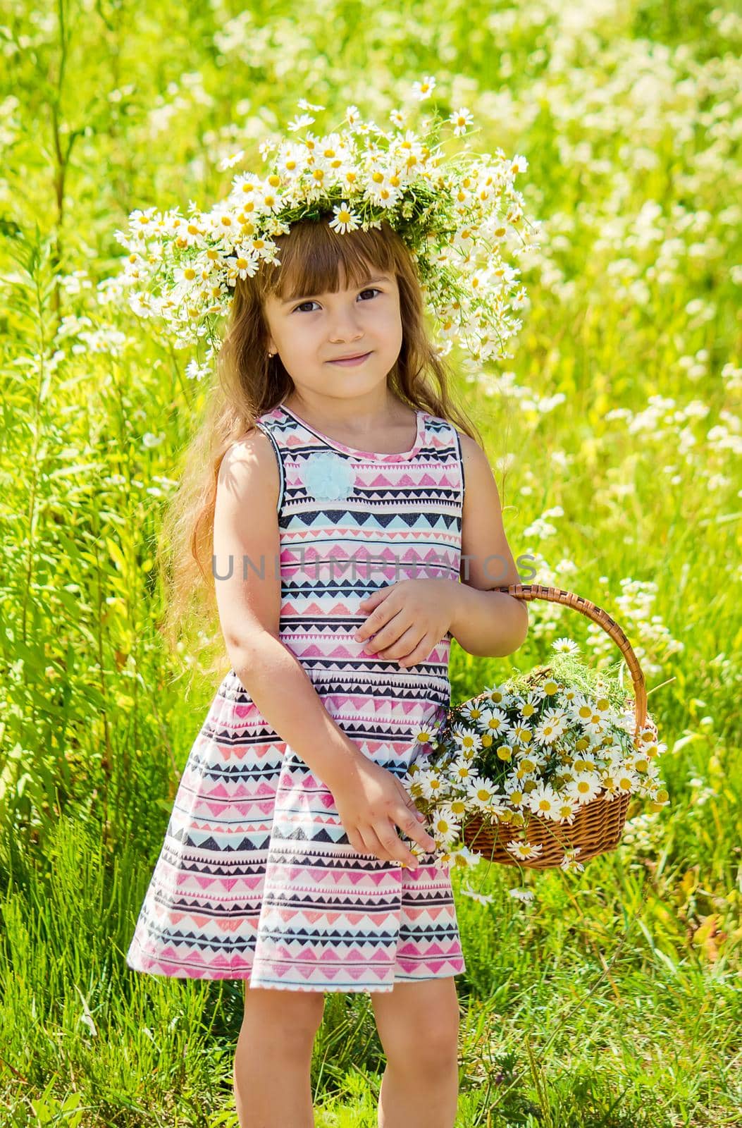 Girl with chamomile. Selective focus. nature flowers. Child.