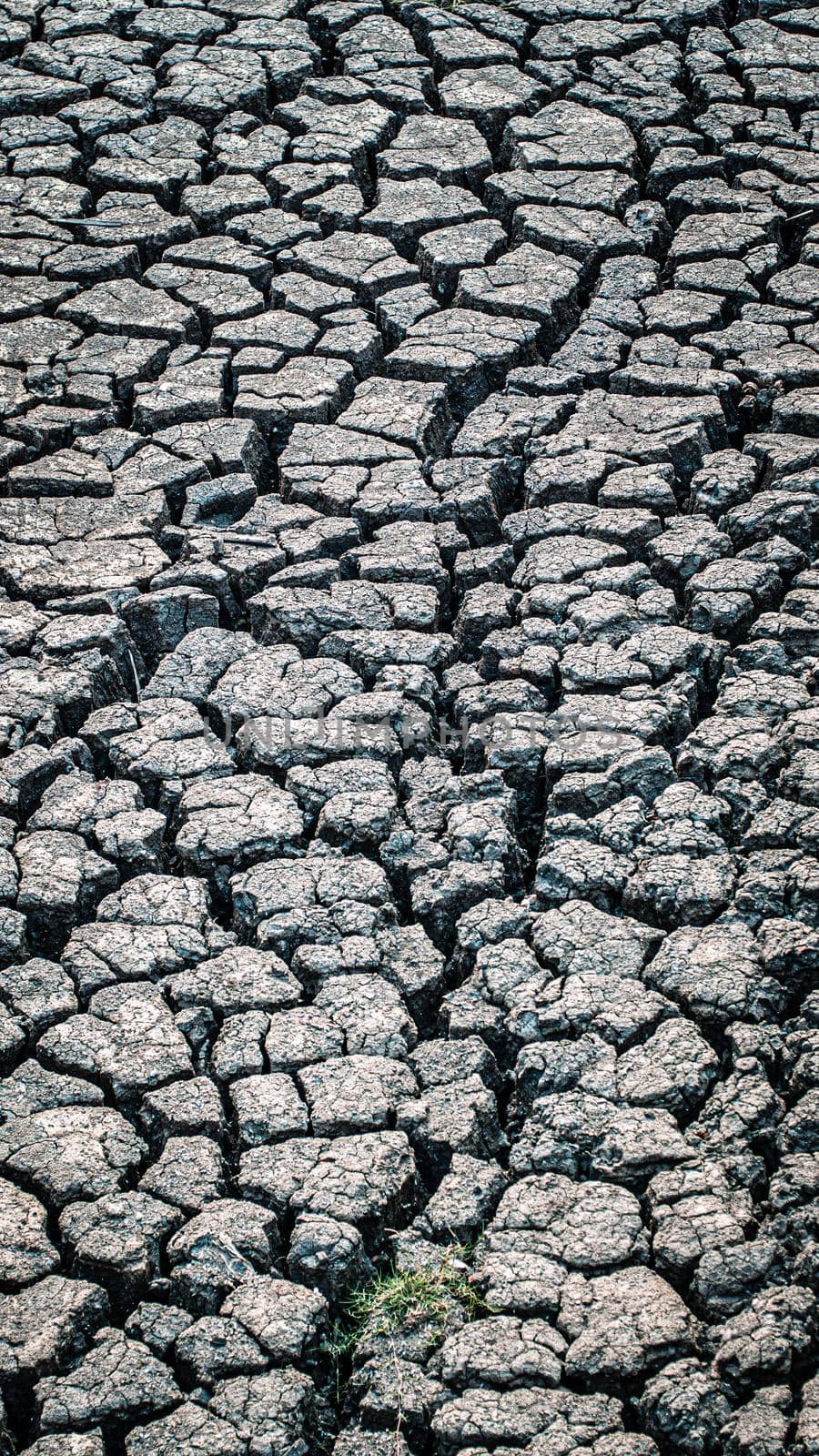 Texture cracked, dry the surface of the earth. global shortage of water on the planet. Global warming and greenhouse effect concept. by Petrichor