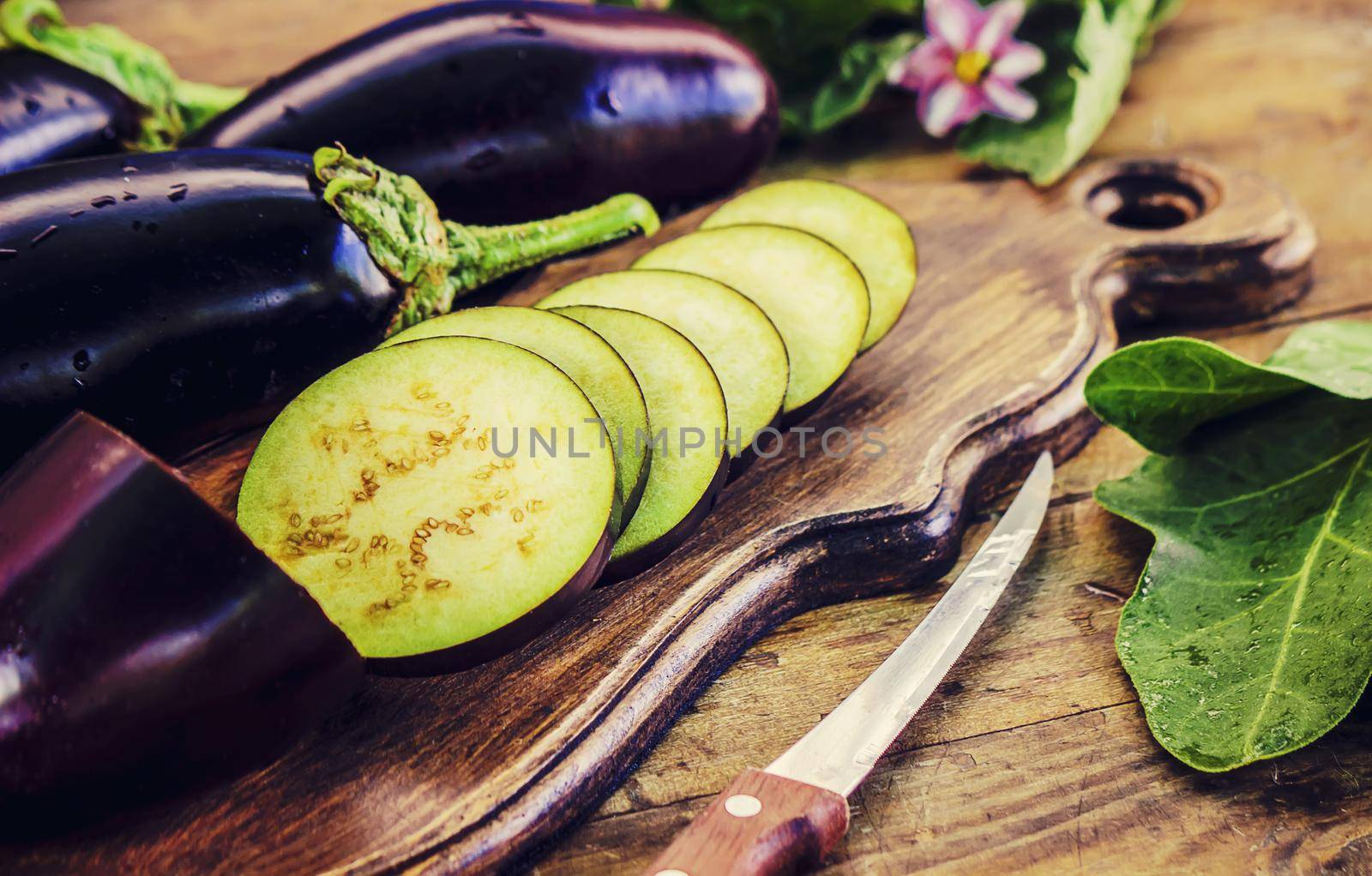 Eggplant nature. Food and drink. Selective focus. organic.