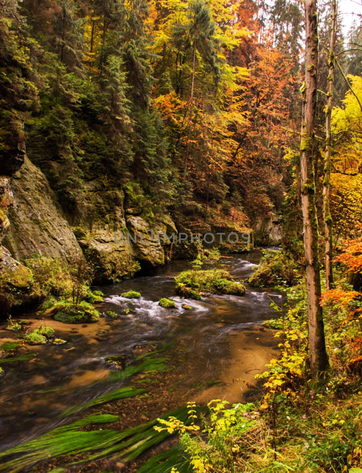 Beautiful Hrensko, Czech Republic pictures