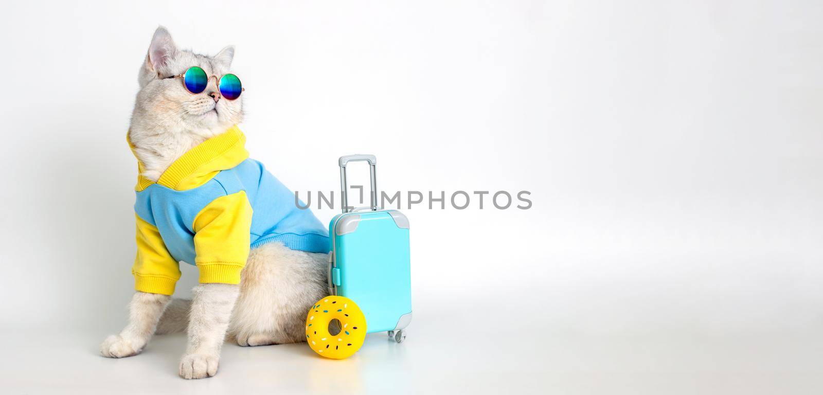 A funny white cat in a blue sweatshirt and sunglasses sits next to a suitcase and a yellow rubber donut on a white background. Wide banner. copy space