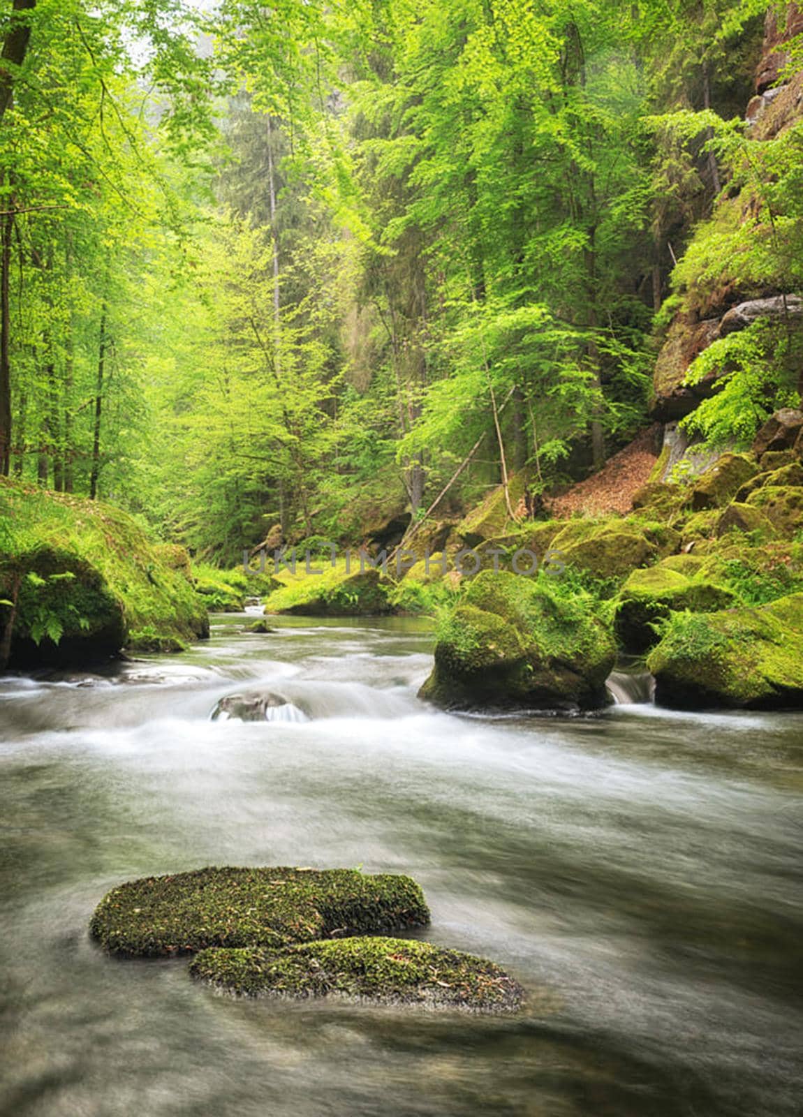 Beautiful Hrensko, Czech Republic pictures