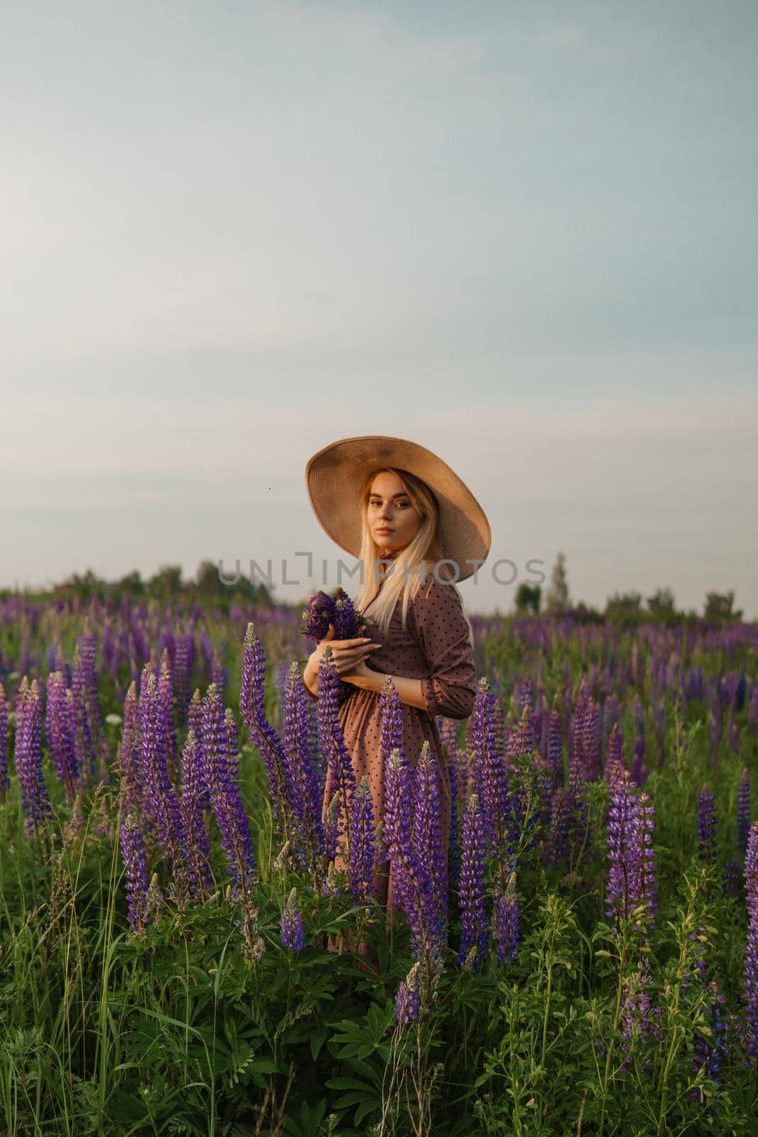 A beautiful woman in a straw hat walks in a field with purple flowers. A walk in nature in the lupin field.