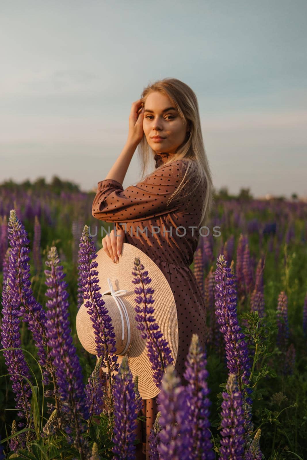A beautiful woman in a straw hat walks in a field with purple flowers. A walk in nature in the lupin field.