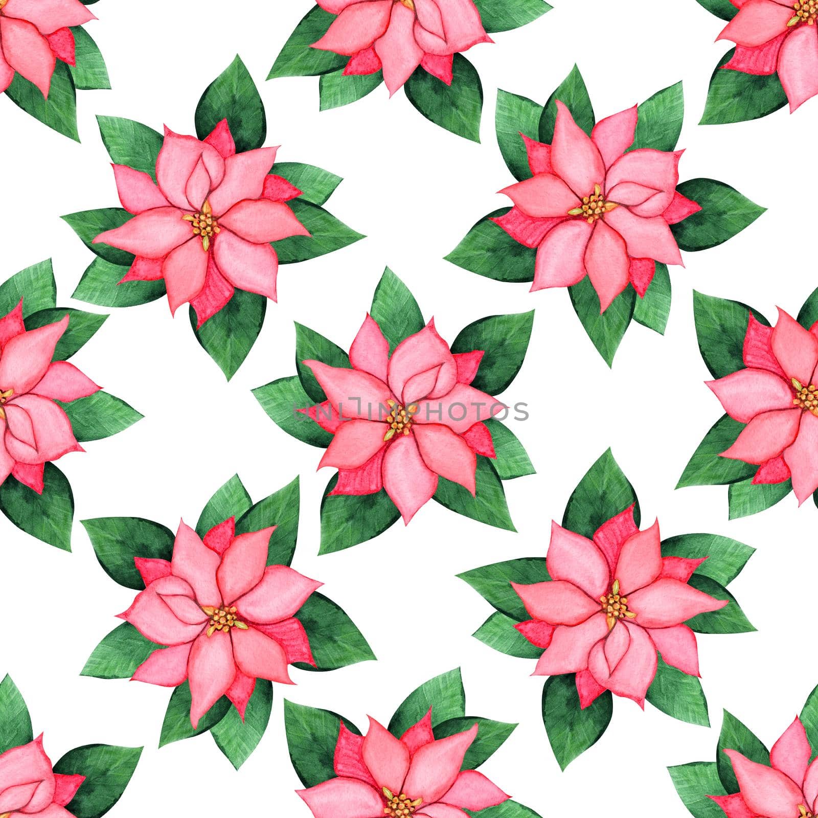 Watercolor christmas poinsettia seamless pattern on white background by dreamloud