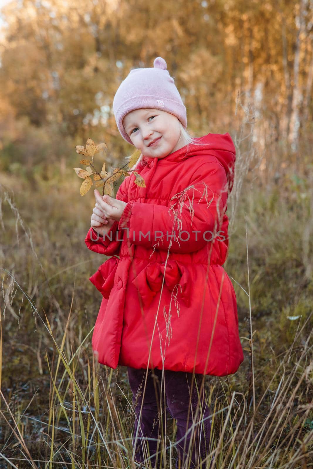 A little girl in a red coat walks in nature in an autumn grove. The season is autumn.