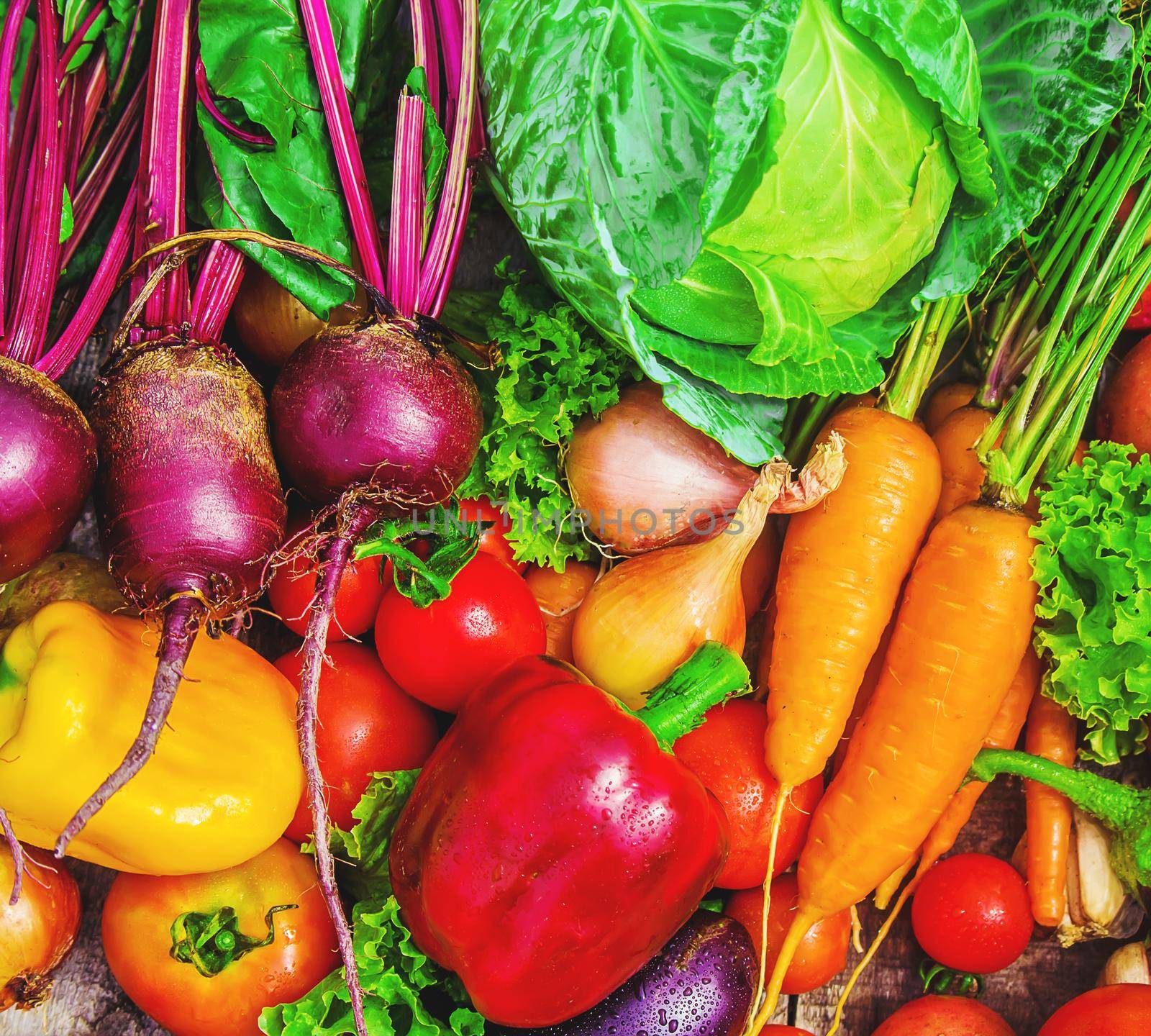 Different bio vegetables. Selective focus. food and drink.