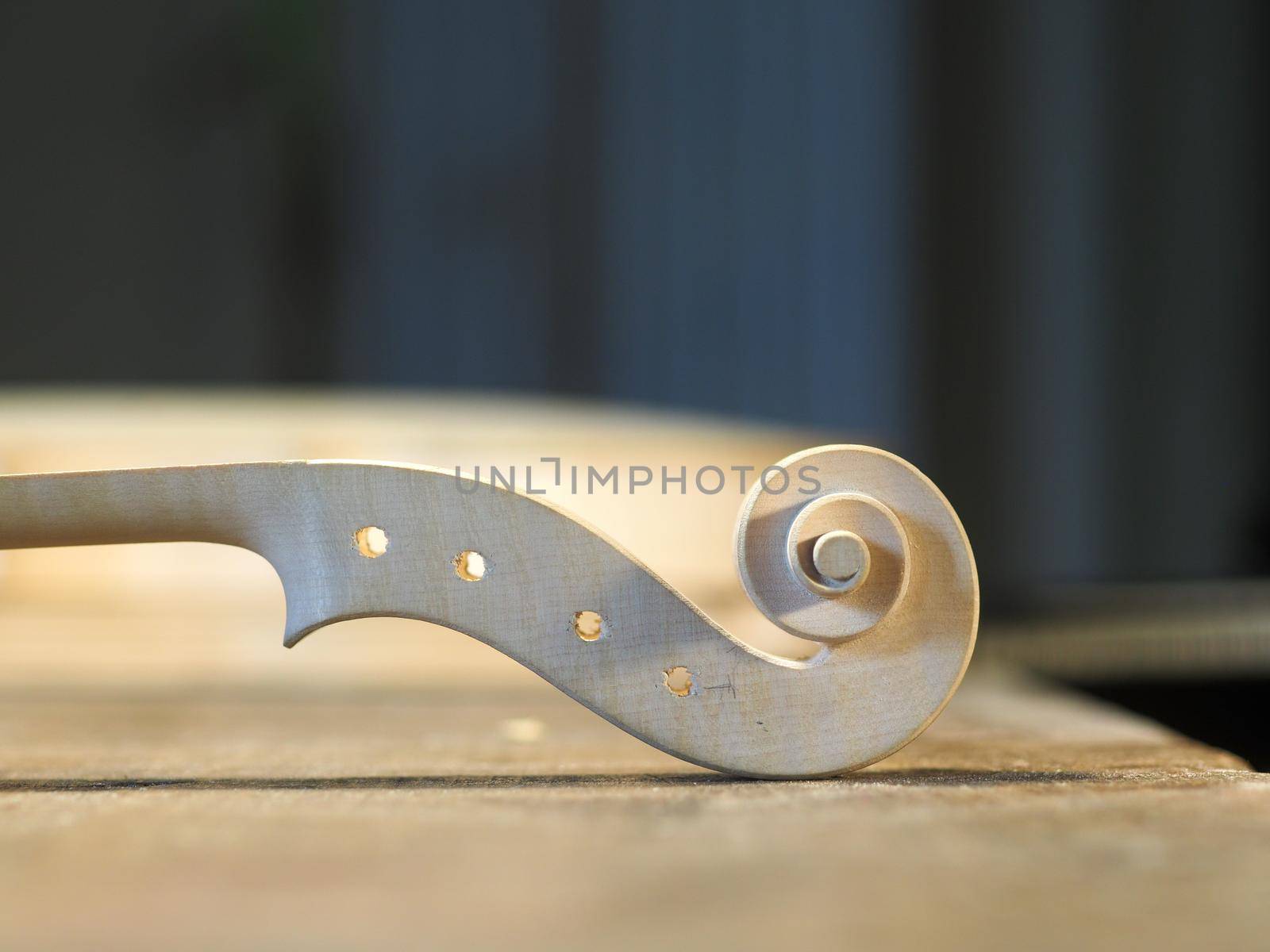 Wooden detail of the head of the violin. Raw wood, texture