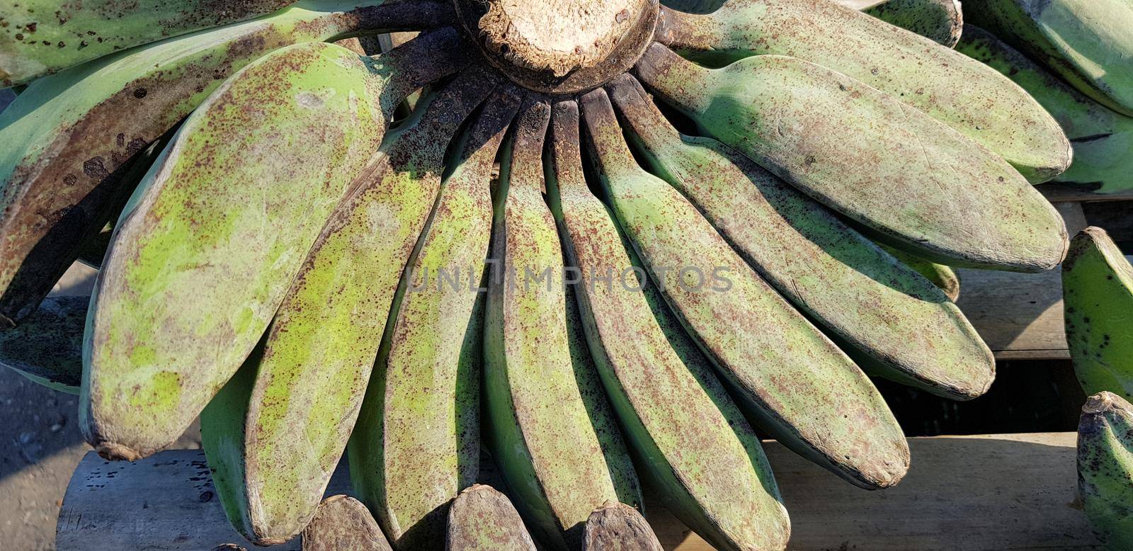 Pisang Kepok, kepok banana (musa acuminata) or yellow local banana in Indonesian the market. bananas can be made into delicious and nutritious food preparations. Indonesian fruit. ready to eat