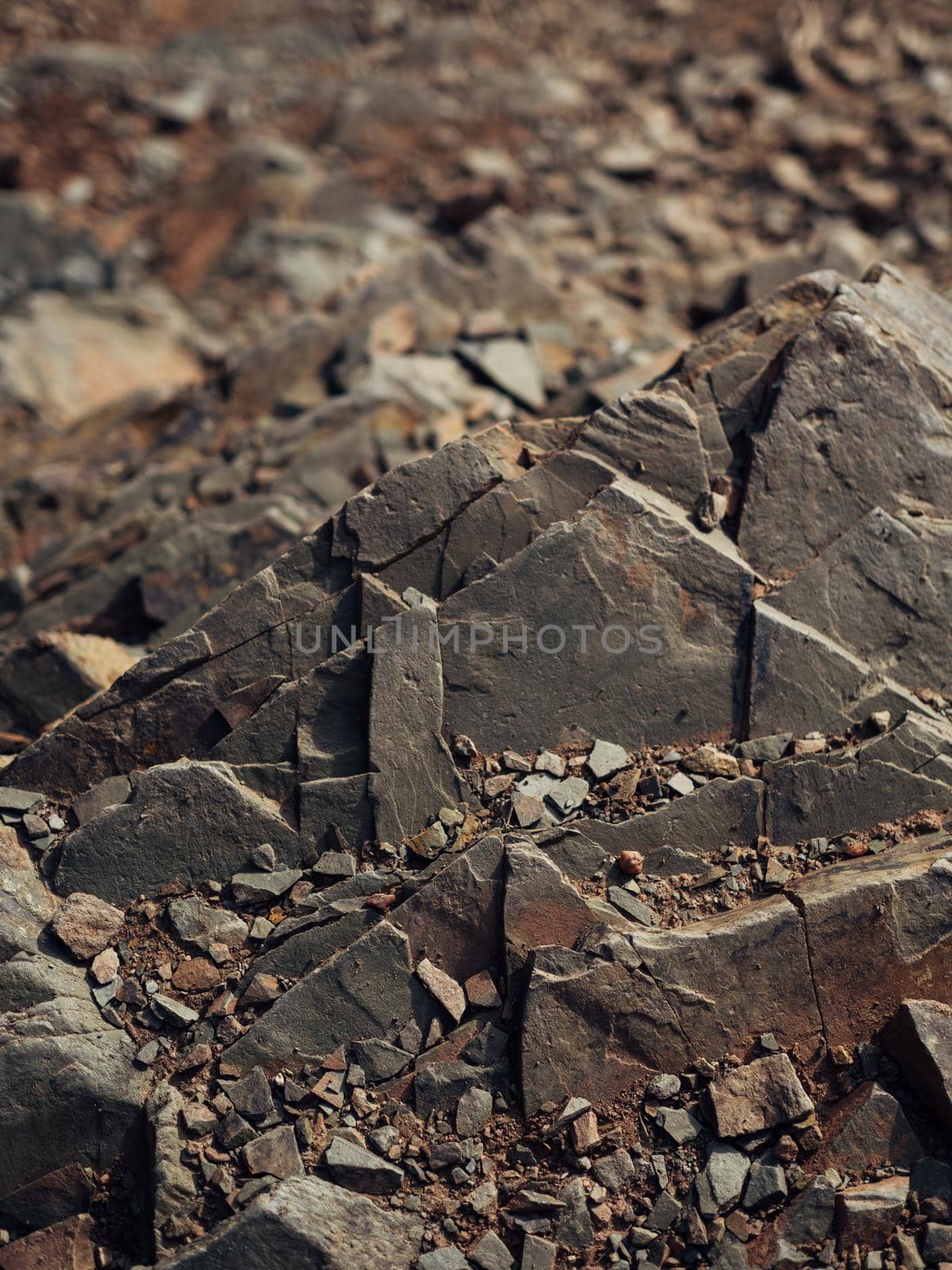 Close-up of gray-brown stone texture on a rock surface in the mountains.