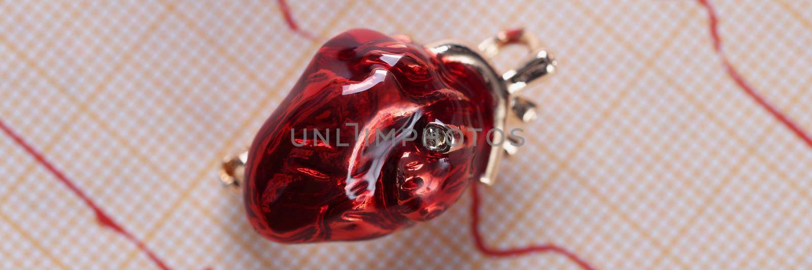 Top view of red glass miniature heart placed over heart cardiogram result paper. Examination of cardiovascular system. Medicine, cardiology, health concept