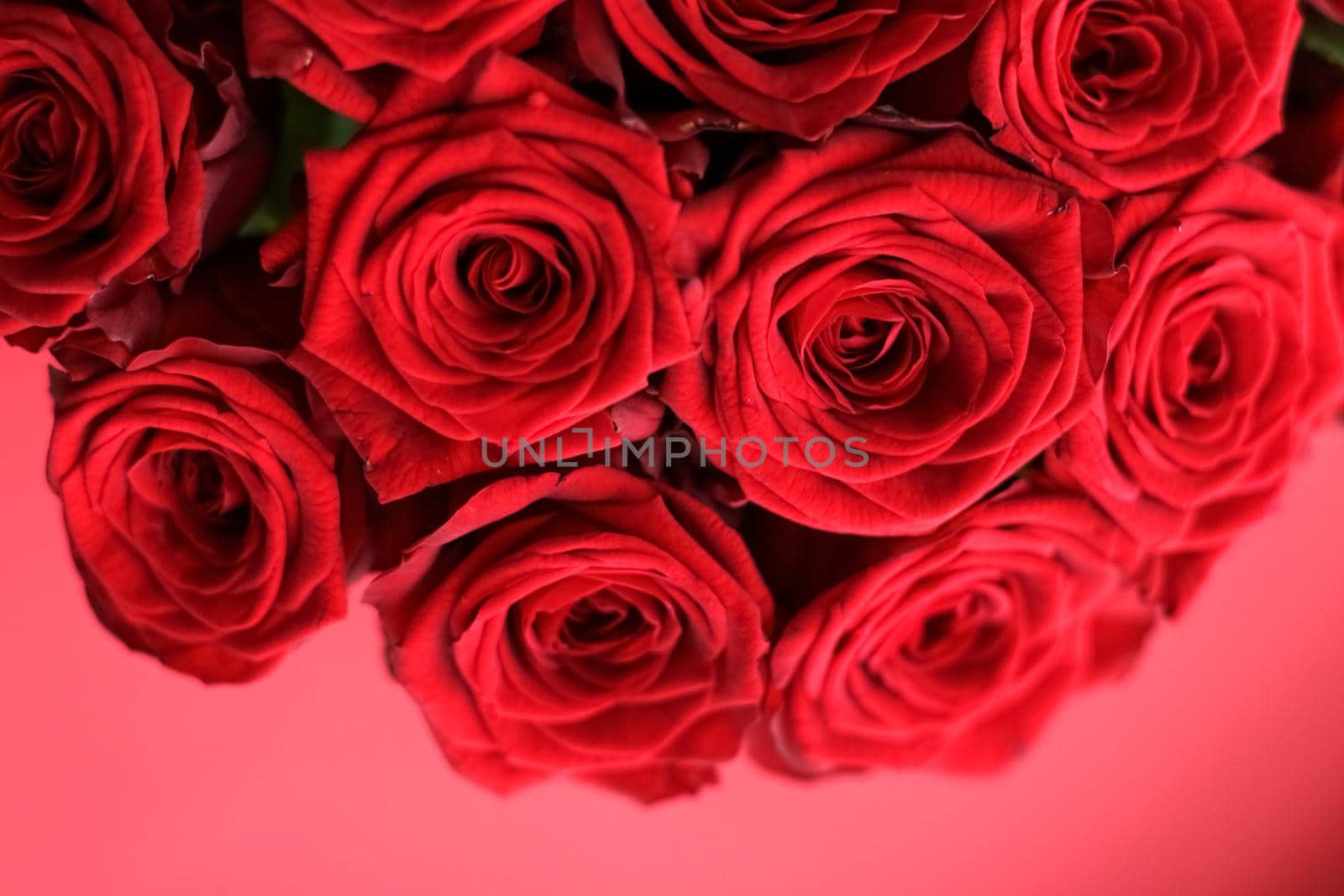 Blooming rose, flower blossom and Valentines Day gift concept - Gourgeous luxury bouquet of red roses, flowers in bloom as floral holiday background