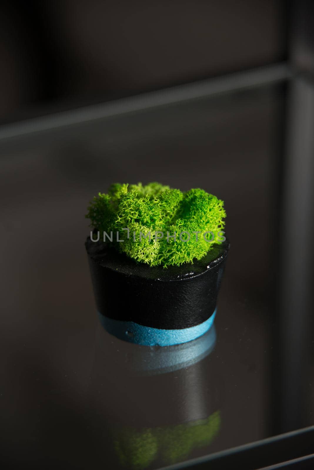 moss in black and blue concrete pot by Ashtray25