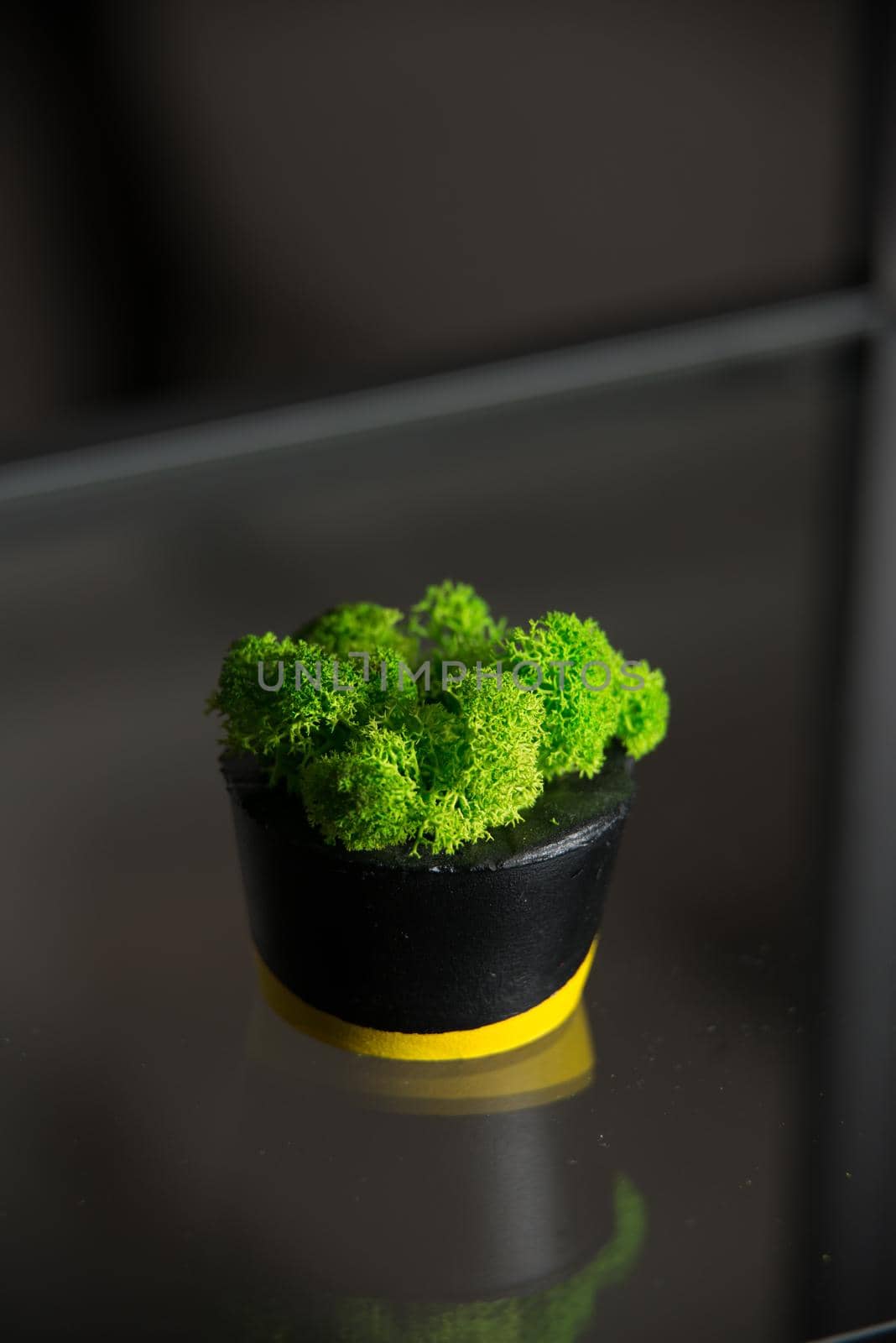 moss in black and yellow concrete candle holders by Ashtray25