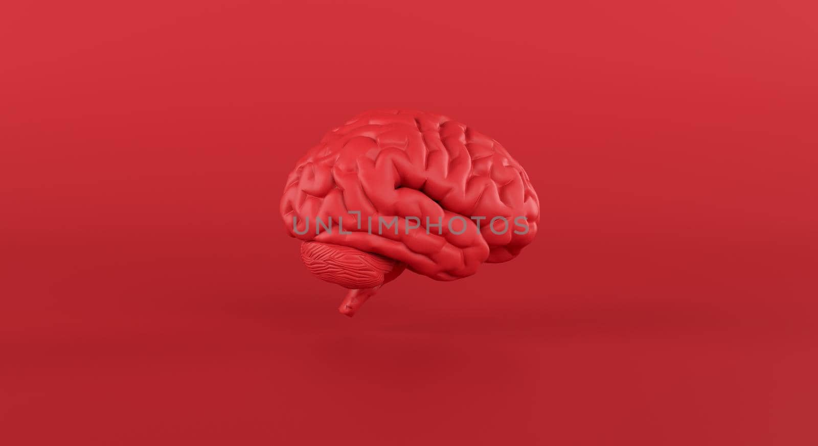 Red brain in slide view on minimal studio background, thinking, idea, business by ImagesRouges